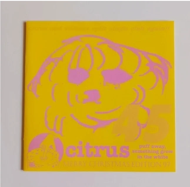 Citrus Hit! (Like My Feelin')All About Citrus｜siloppi