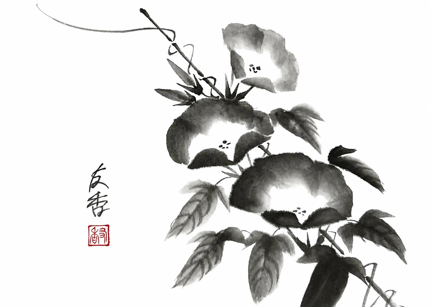 7月の水墨画ワークショップ 「朝顔を描く」｜友香/水墨画
