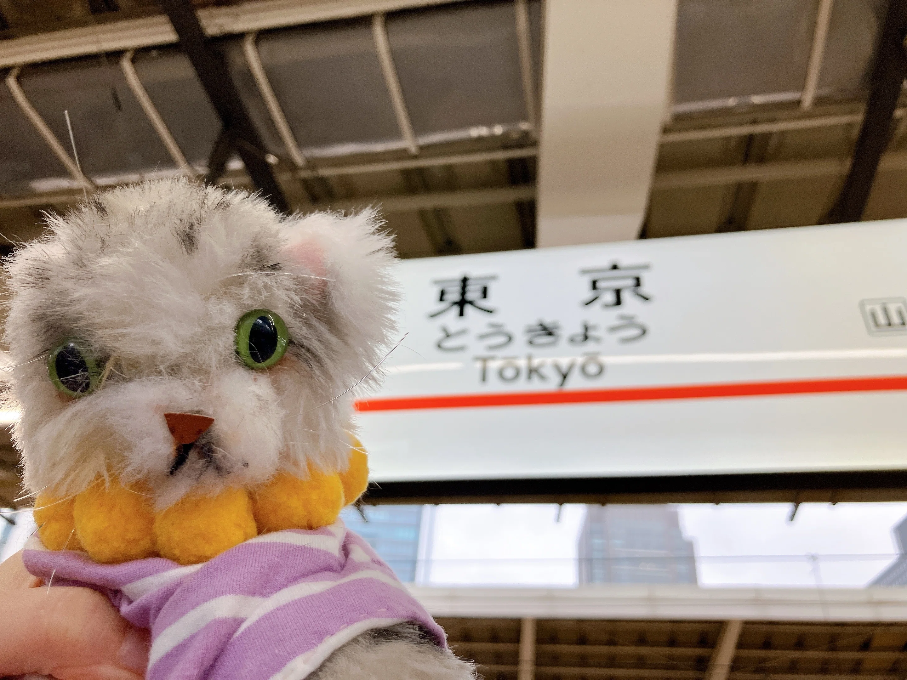 5/22【東京お出かけ】100%ドラえもん＆FRIENDSに行ってきたよ｜るゆにつ🌕