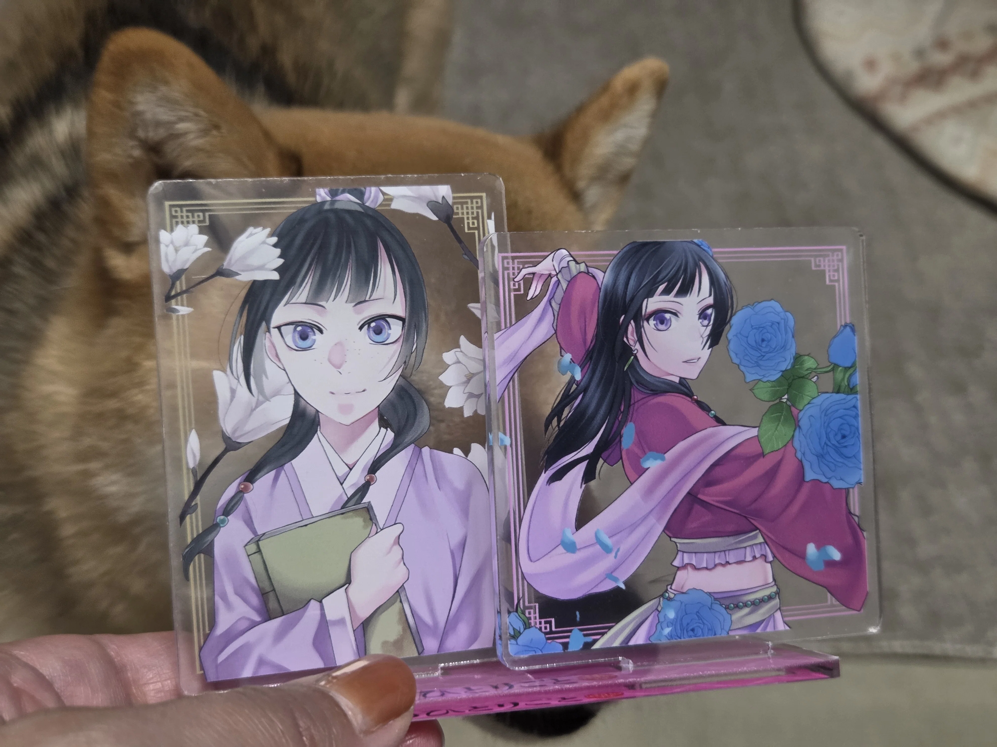 GX最新号告知と新緑と｜倉田三ノ路