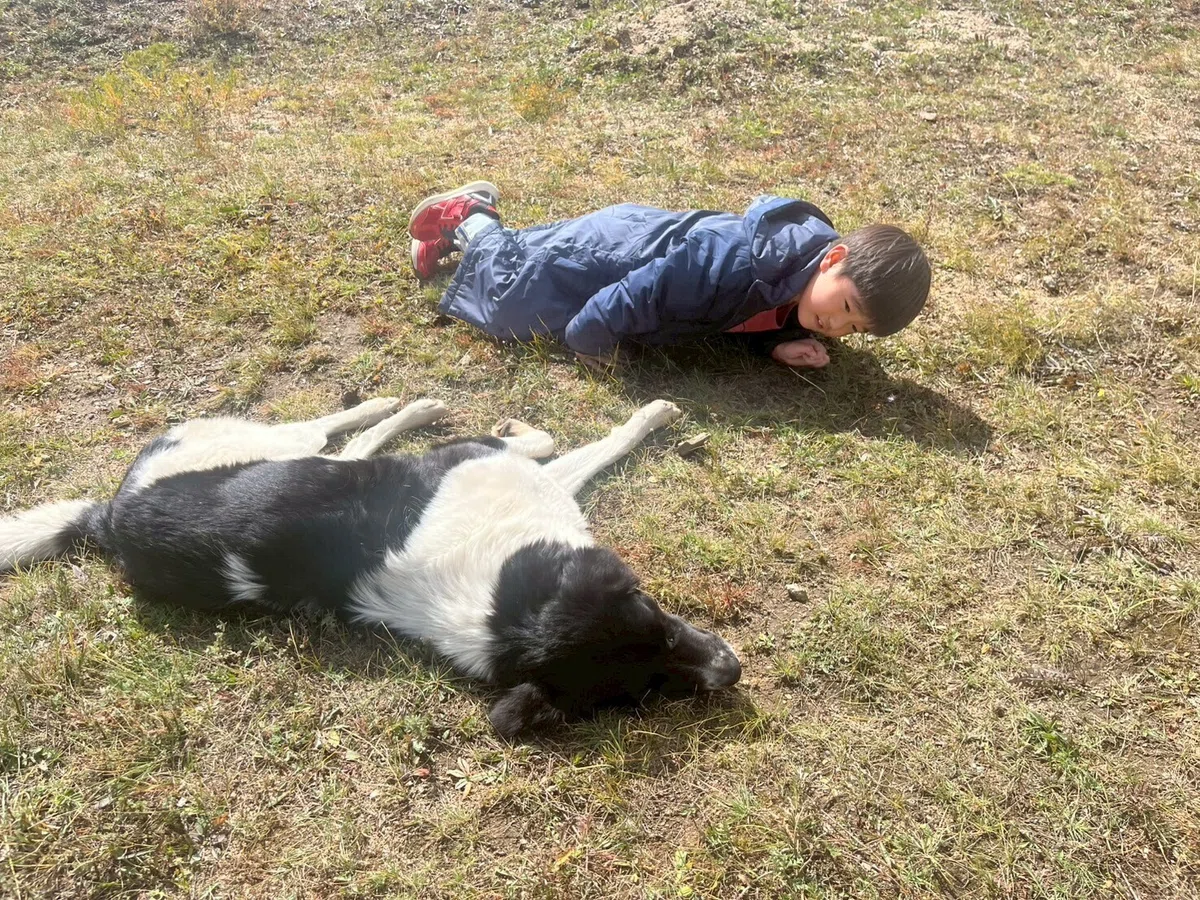 画像