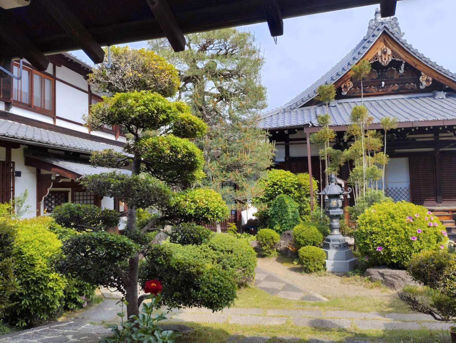 旅の記：2025年晩春のツアー〘75〙蓮光寺＜長宗我部盛親墓＞（京都府