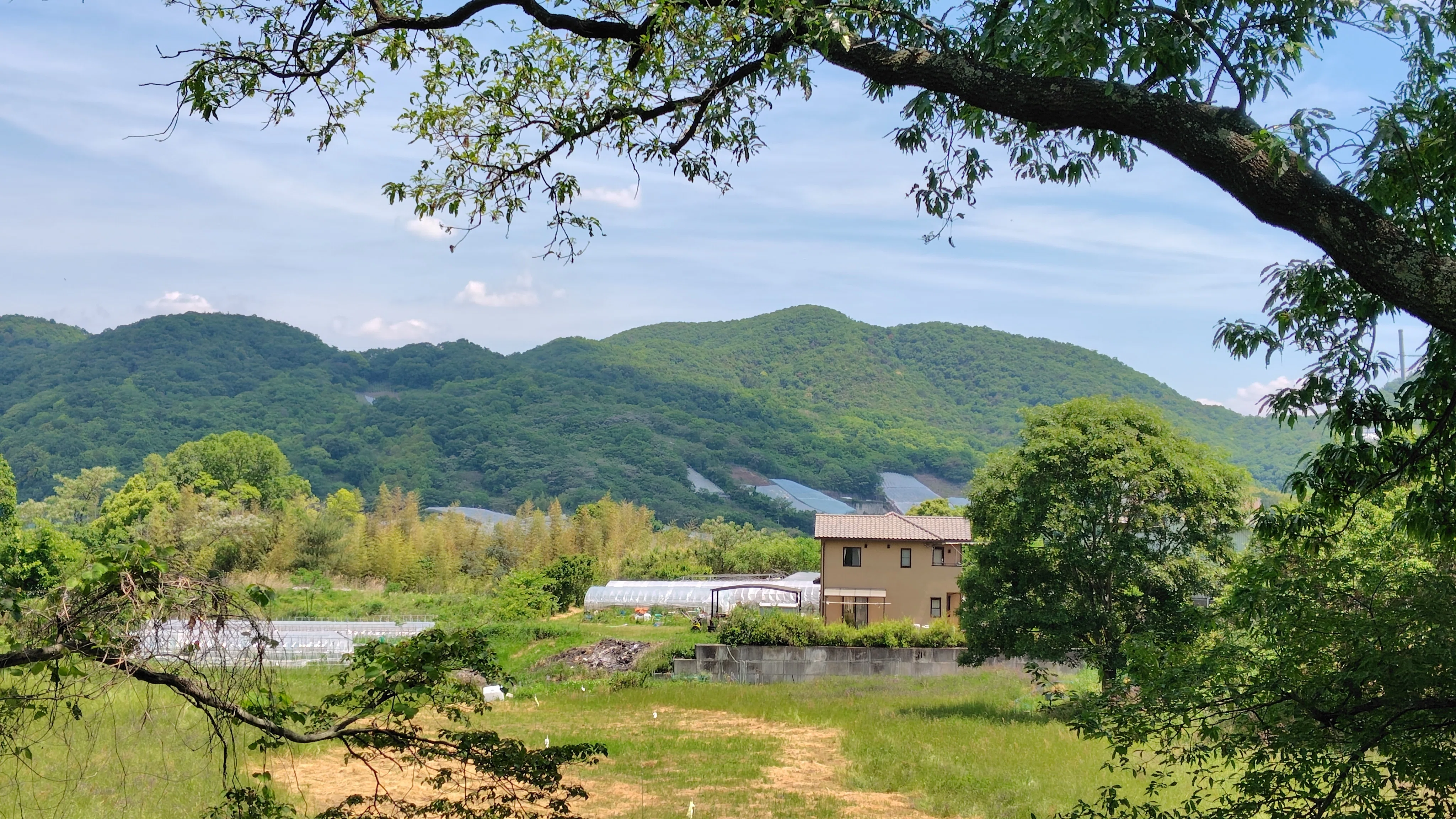 散策note《 壺井八幡宮 》河内源氏発祥の地／大阪府羽曳野市｜唐崎夜雨