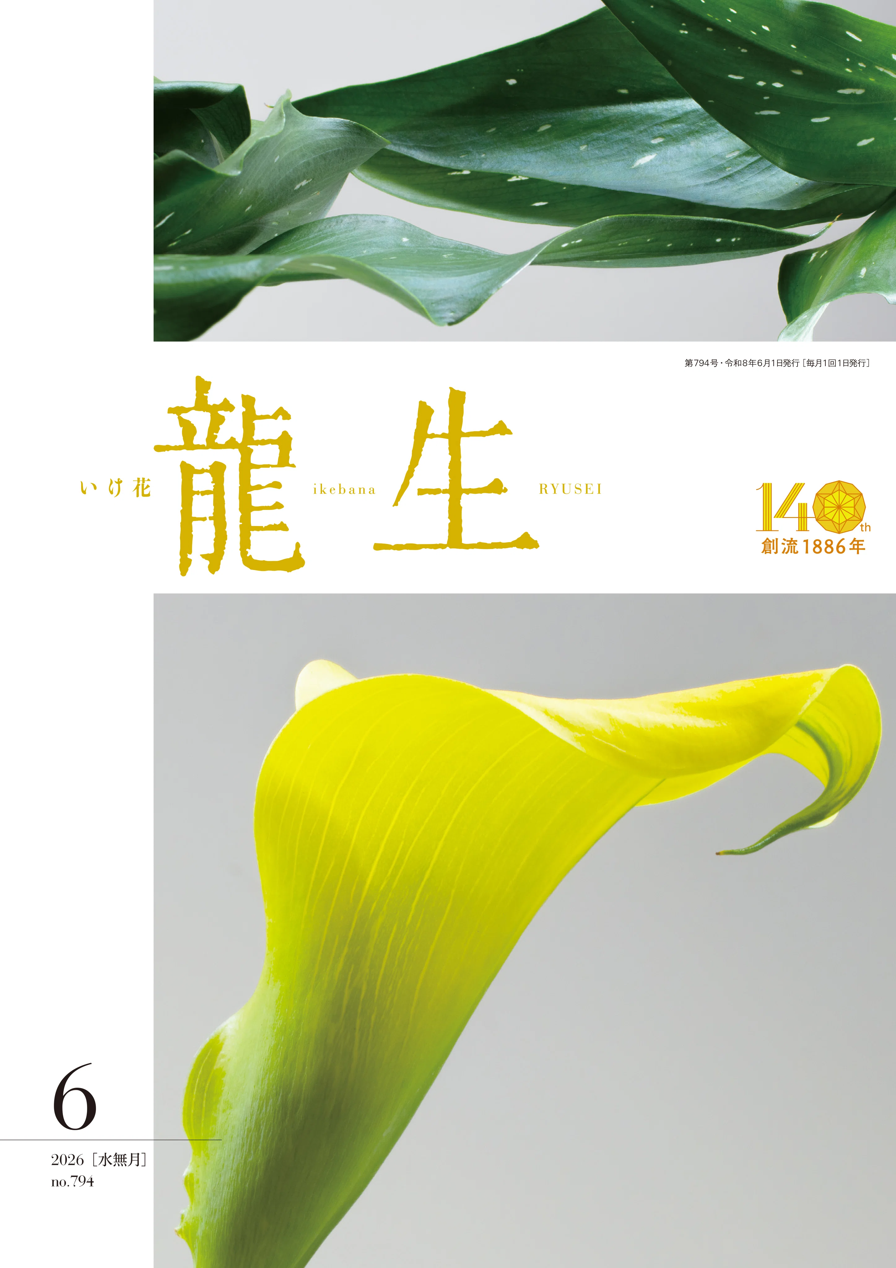いけ花龍生」2026年6月号発売中！｜いけばな龍生派
