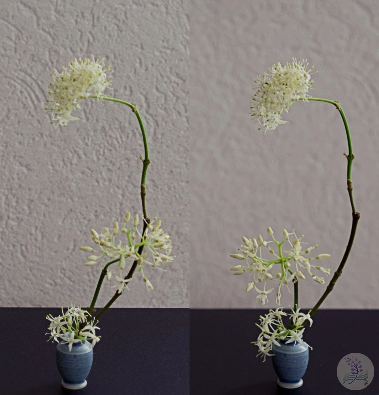 倒れる度に、形も気持ちも少しずつ変わる｜ミニチュア生け花 第2弾