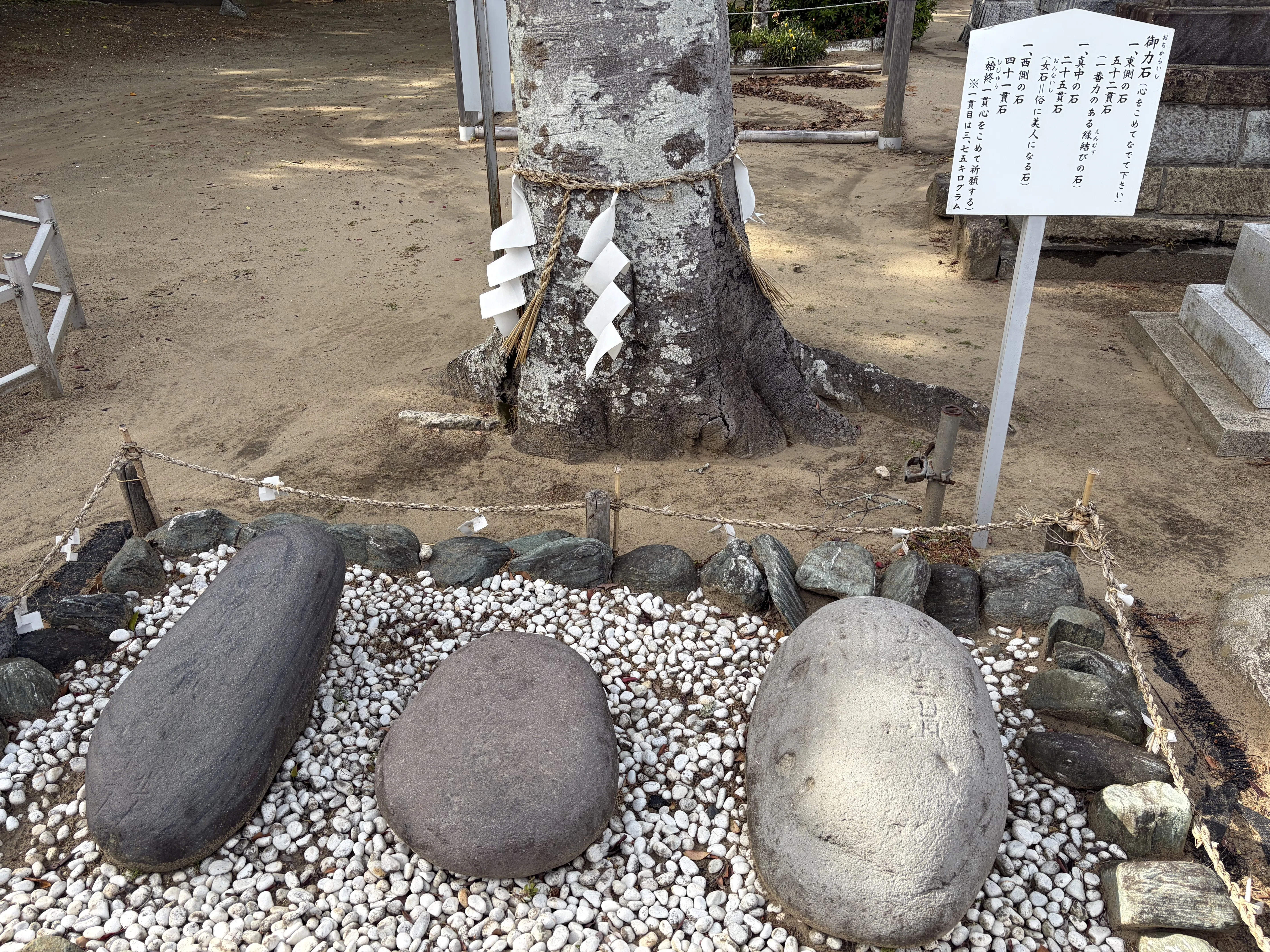 神社で見落としていたもの①【力石】ええっ！ 本当にこれを持ち上げた