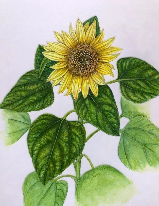 絵画 art 向日葵 美術品 花 花の絵 工芸 彫刻 写実 原画 オブジェ 夏