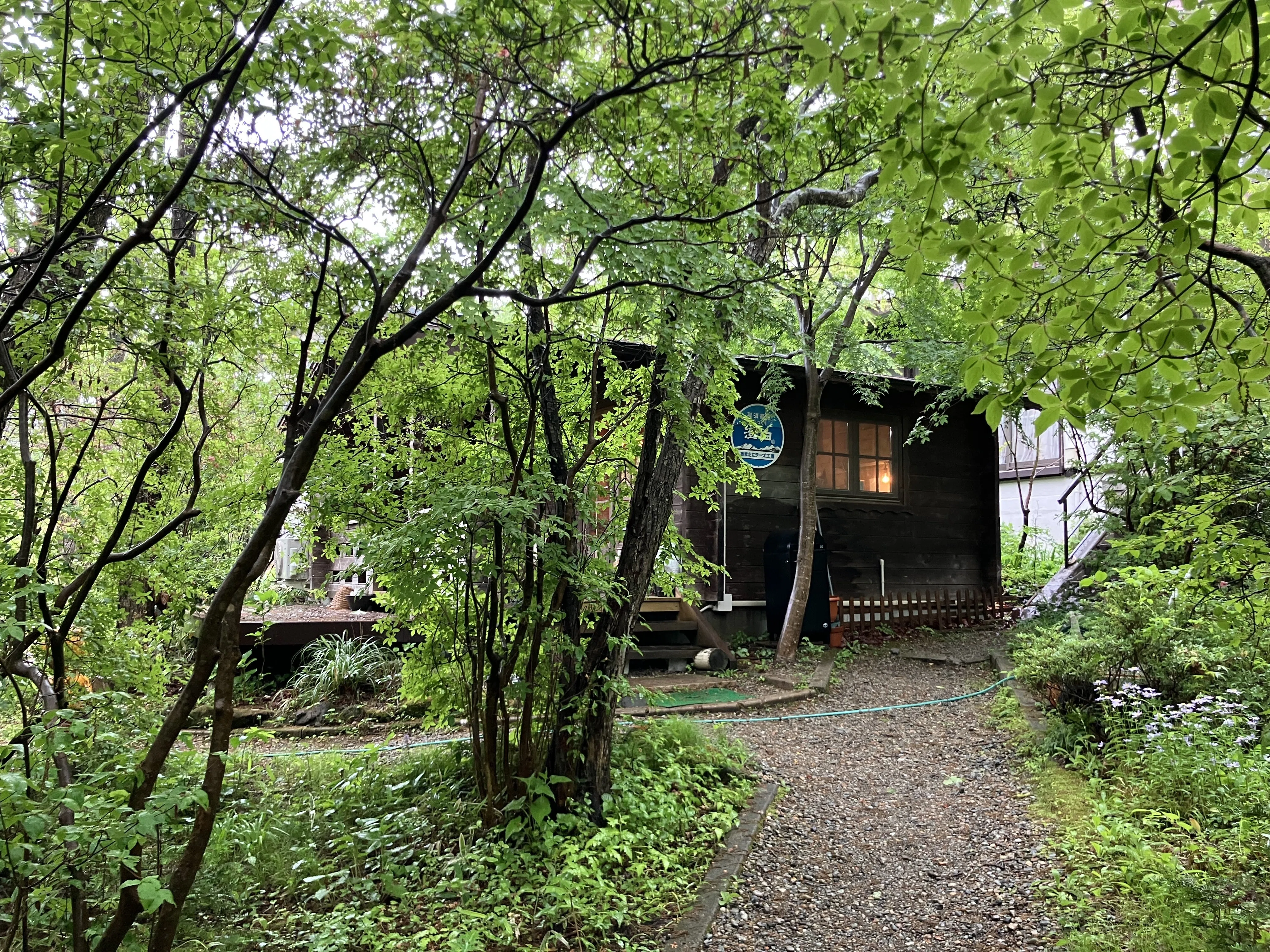 雨の那須高原②藤城清治美術館｜みどり