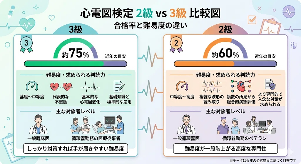 心電図検定2級の難易度と合格ラインは？「落ちた」を防ぐ過去問レベル