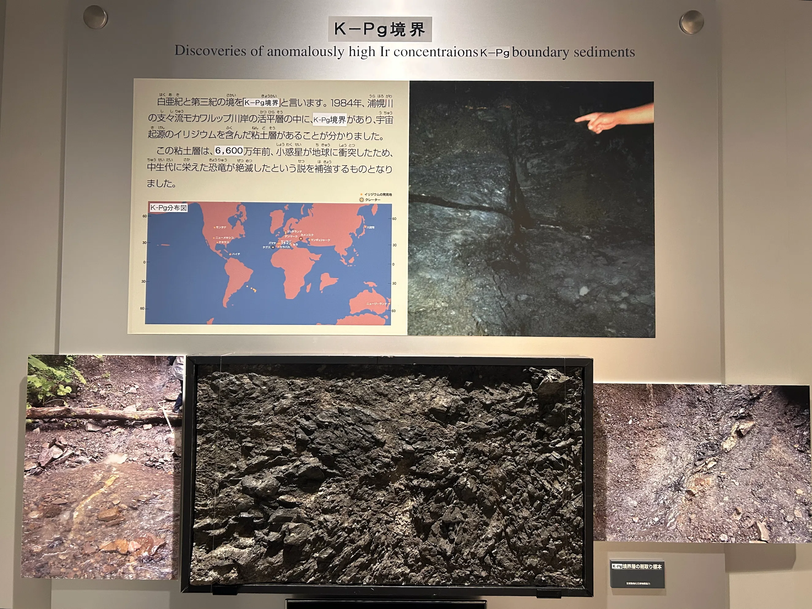 ✨入手不可！小惑星のかけら Ｋ-Ｔ境界層（K/Pg境界頁岩）標本大 北海道で、恐竜の絶滅の原因になった小惑星のことがわかる地層が