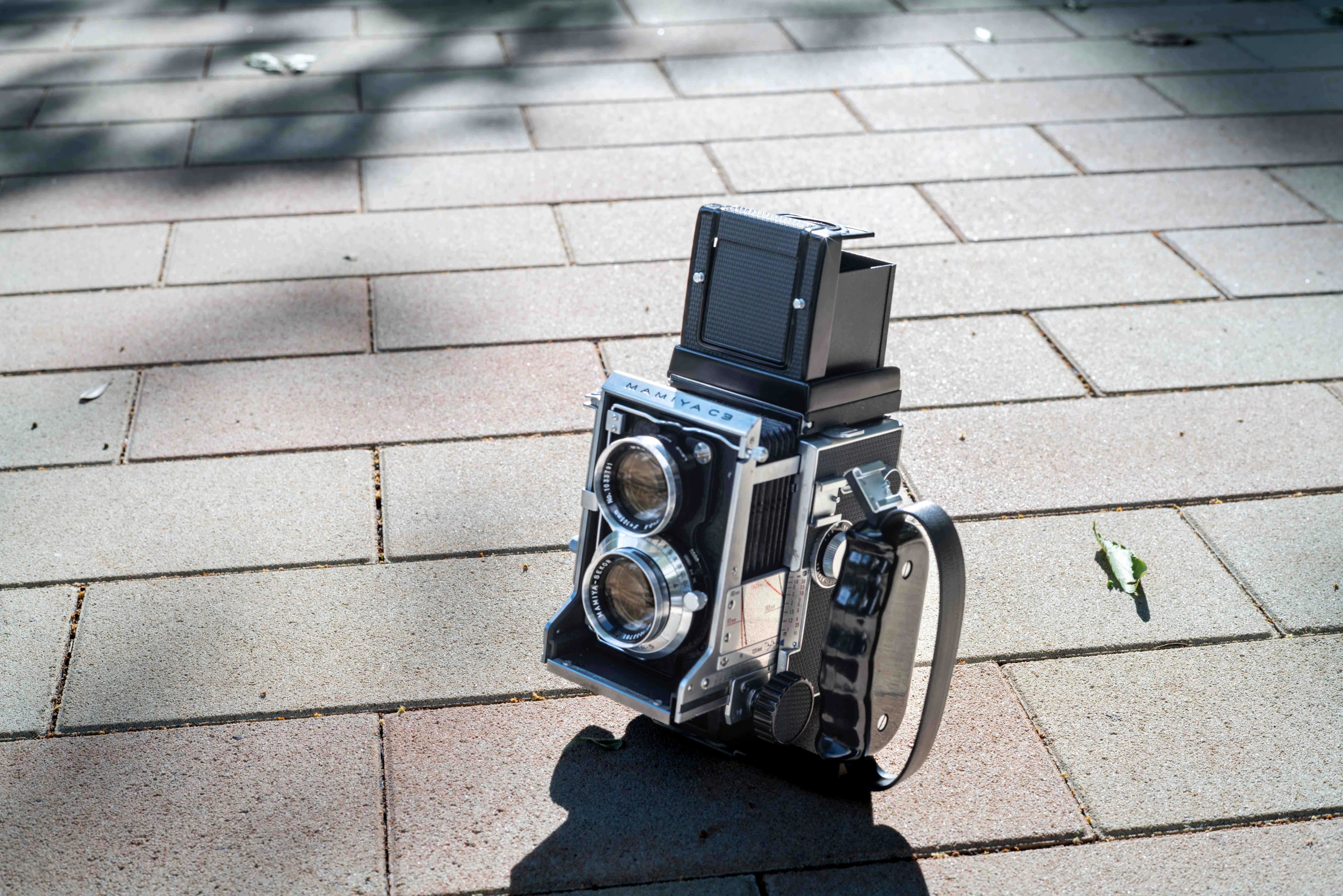 Mamiya C3、新宿漂流 1962年のフィルムカメラで撮る四角い時間 ｜tackphoto