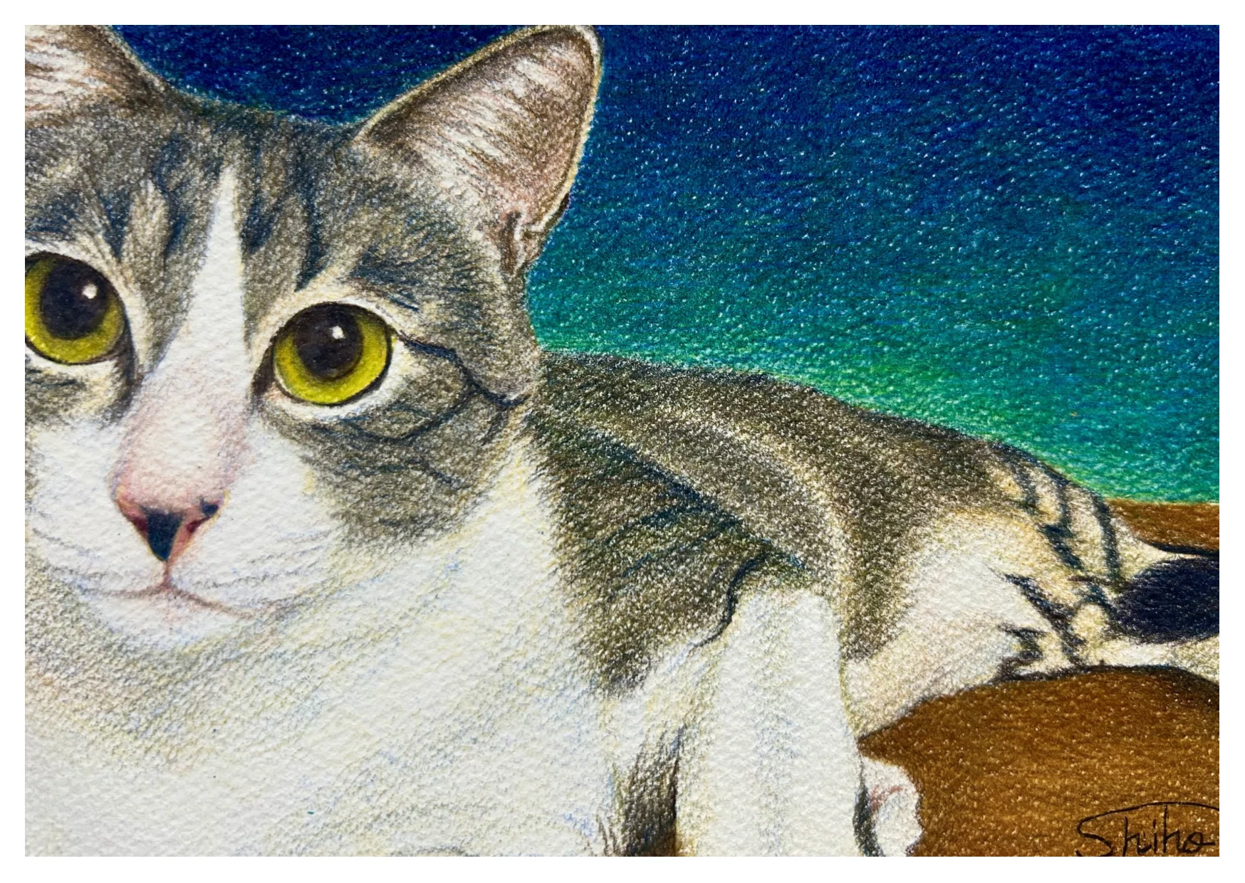 見つめる瞳』｜#404美術館｜shiho【色鉛筆画】