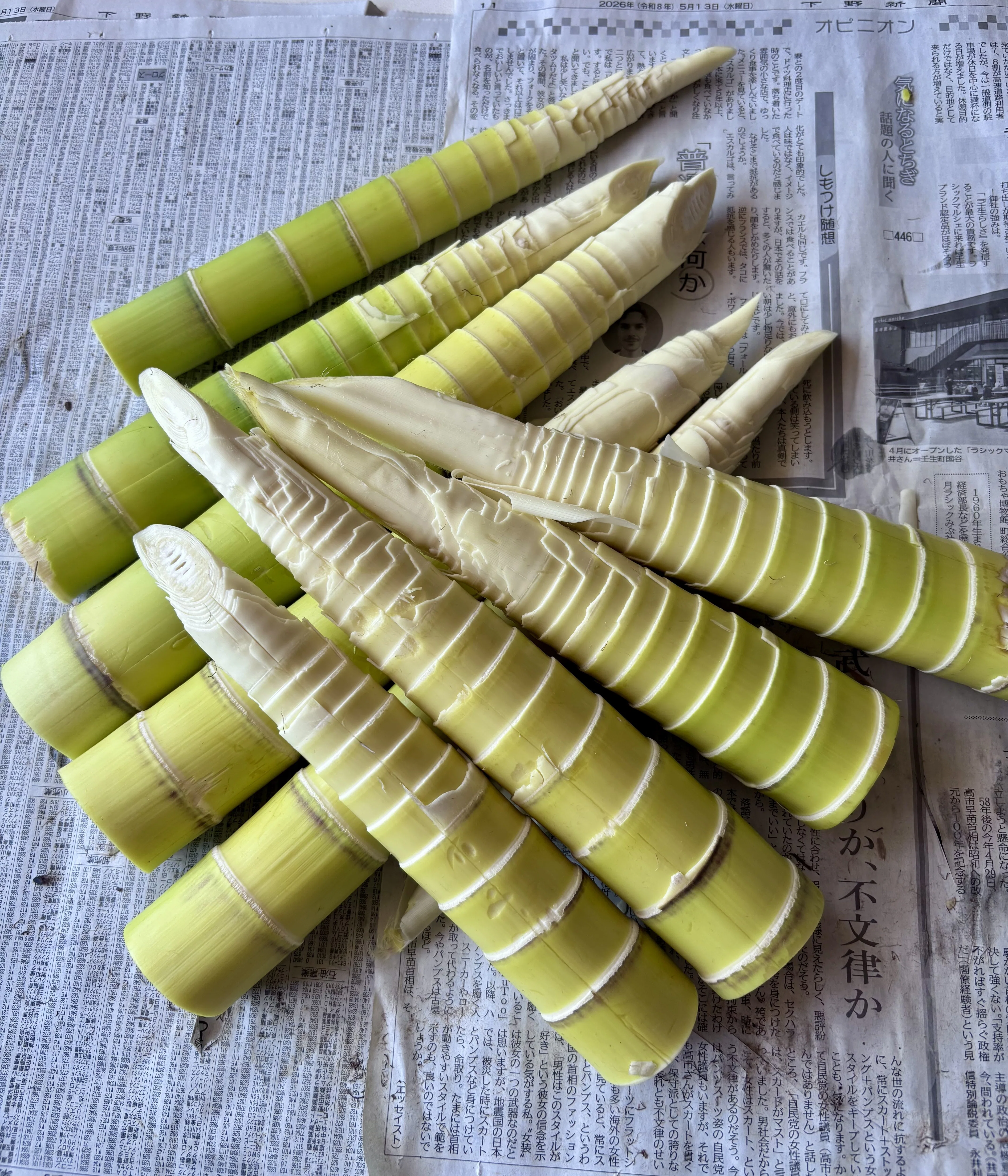 淡竹（はちく）の季節｜マダムkei 熊倉恵子