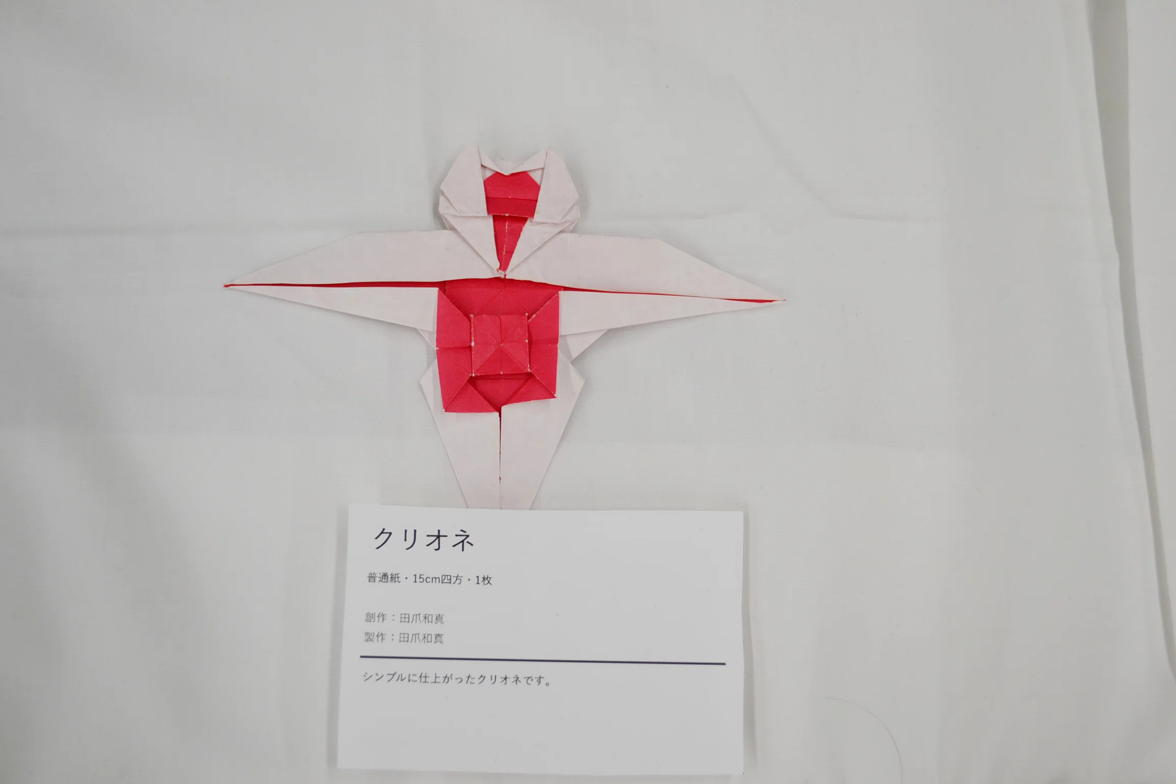 写真】折紙美術館'26 in 本郷①｜宮本宙也 / Miyamoto Chuya