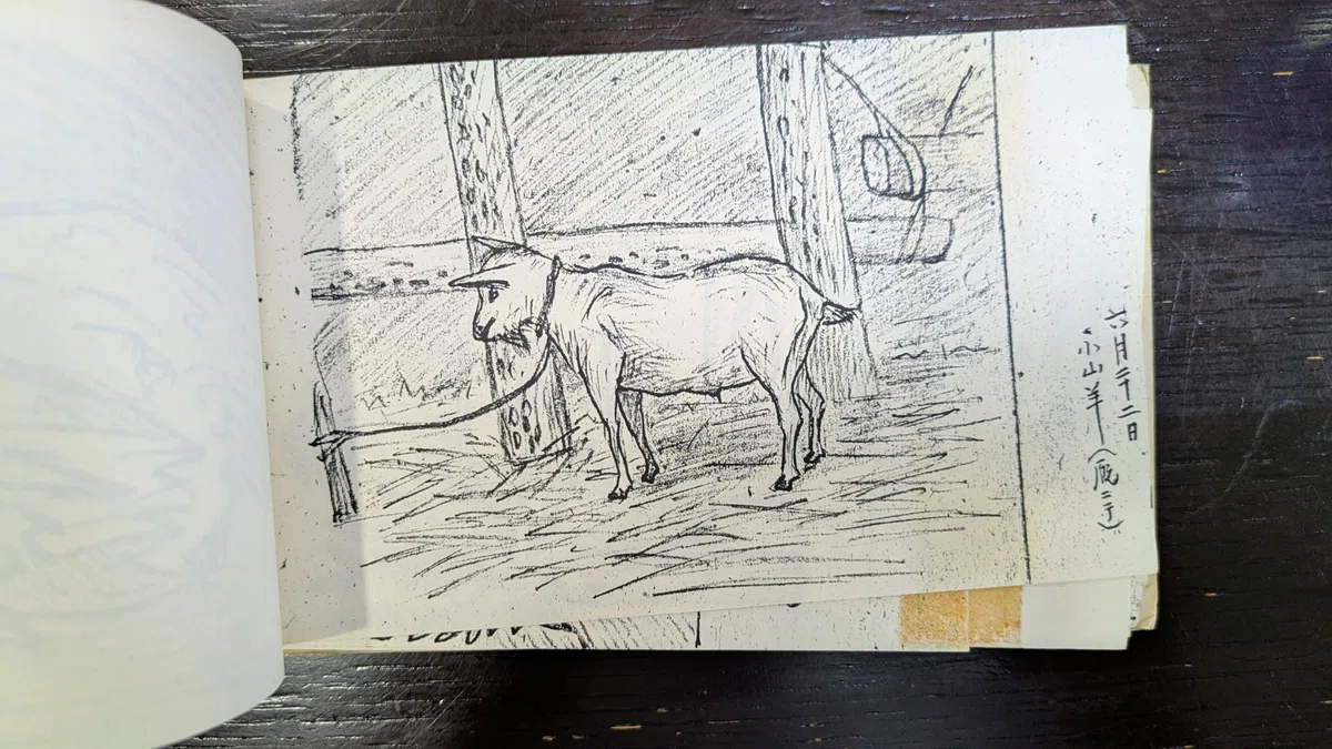 画像