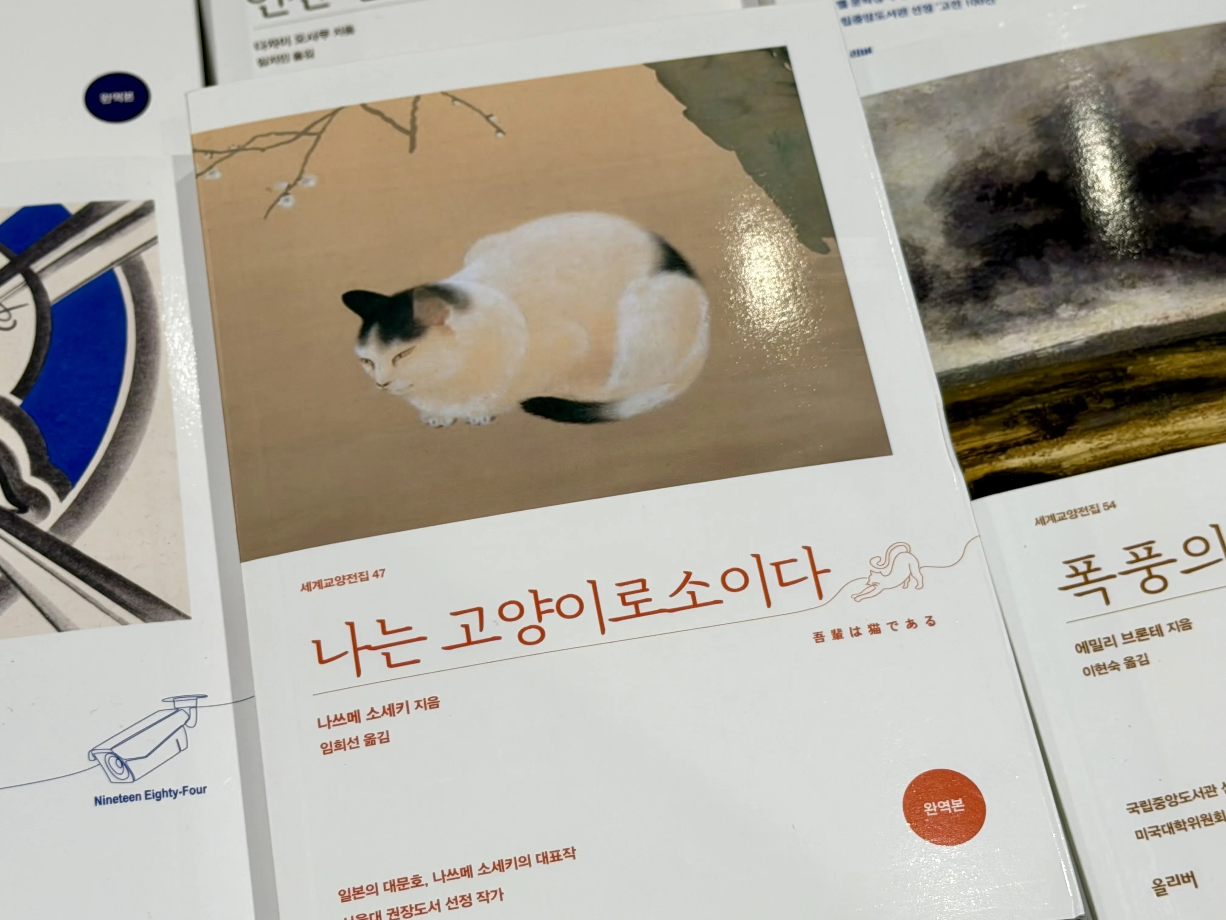 釜山の書店で、沢木耕太郎さんの本の韓国版を見つけた話｜手塚 大貴