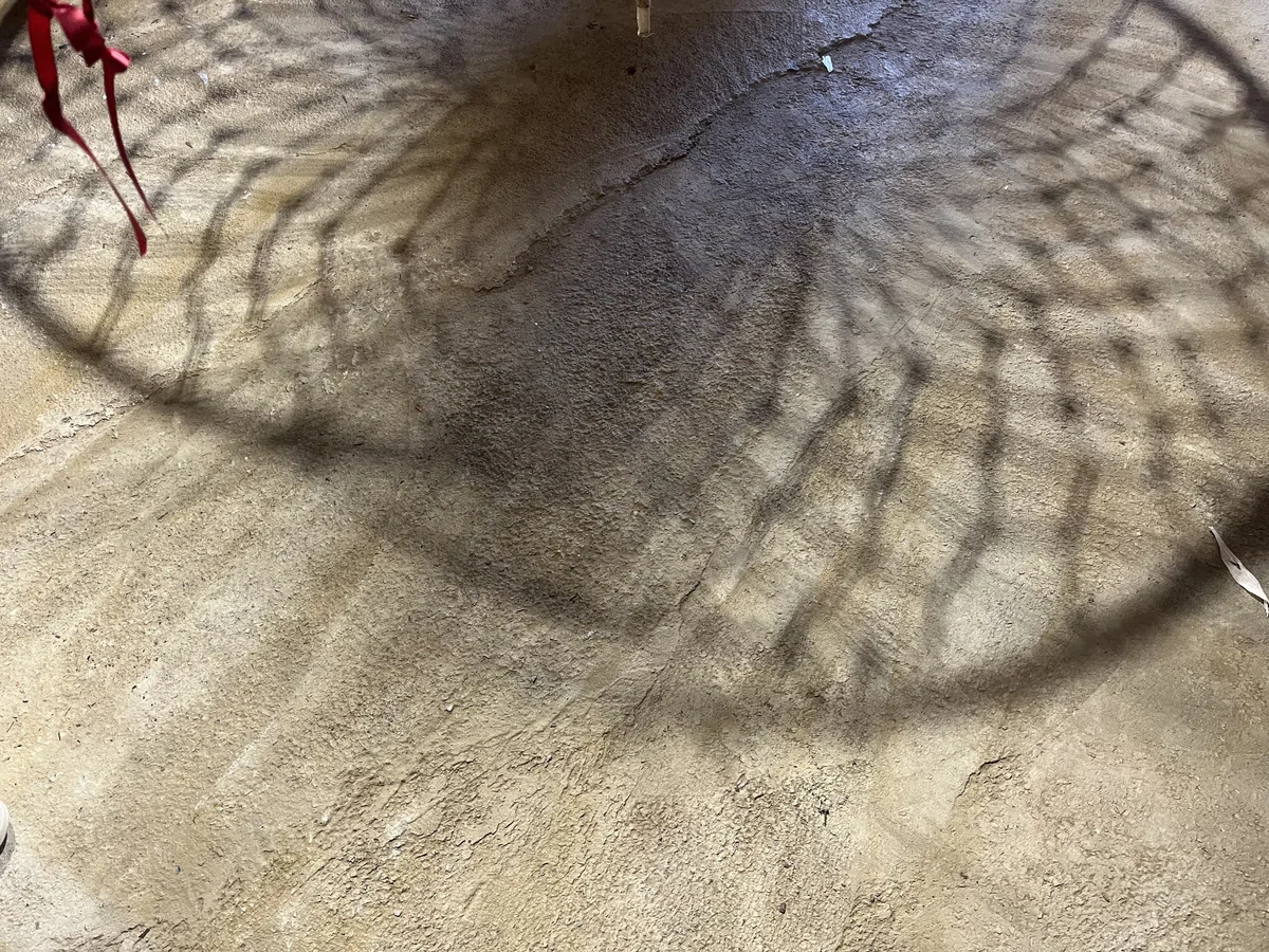 モンゴル書道 美術館 芸術