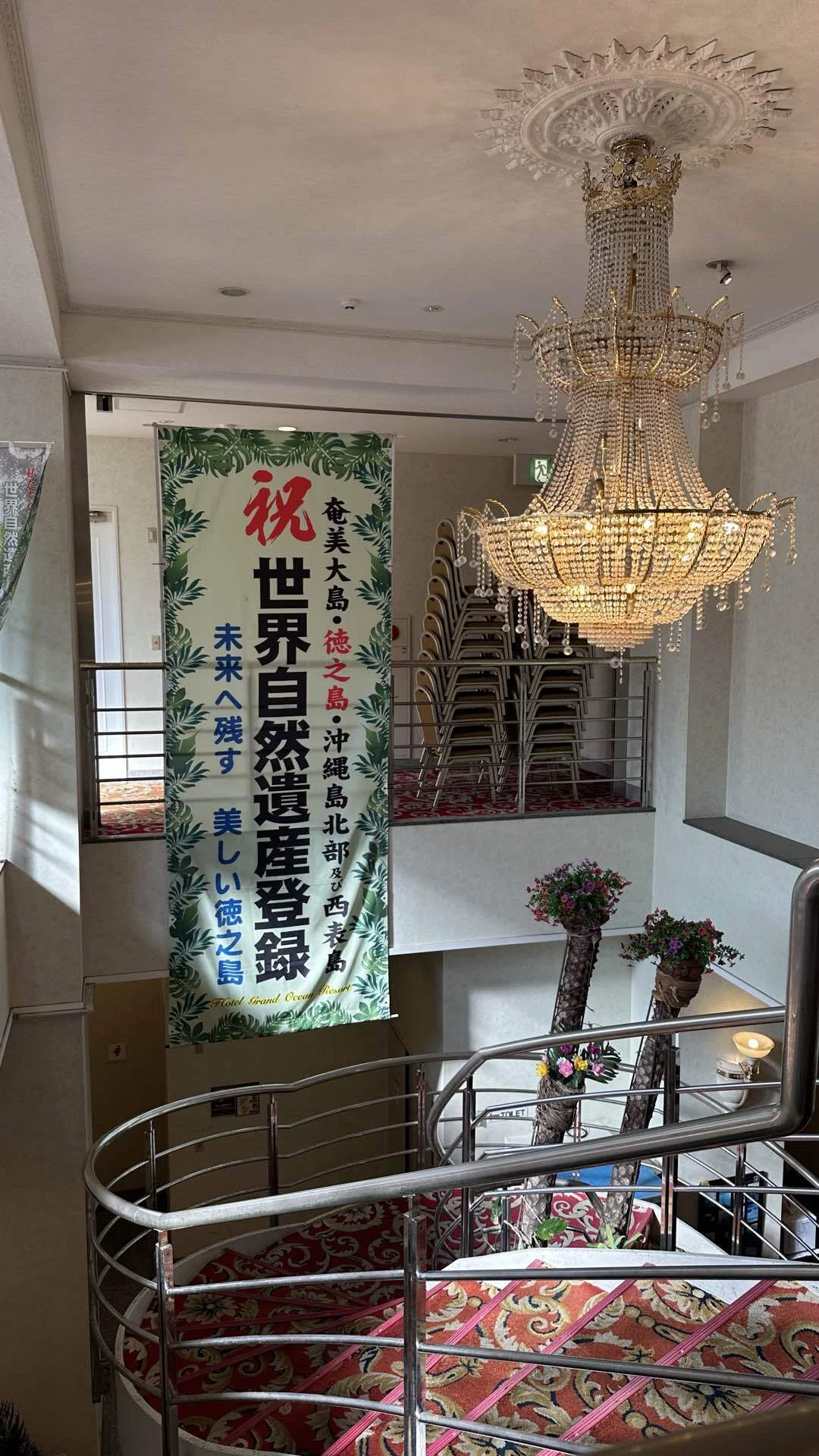 2026年5月】徳之島1日目【世界自然遺産】｜cosmosいろ