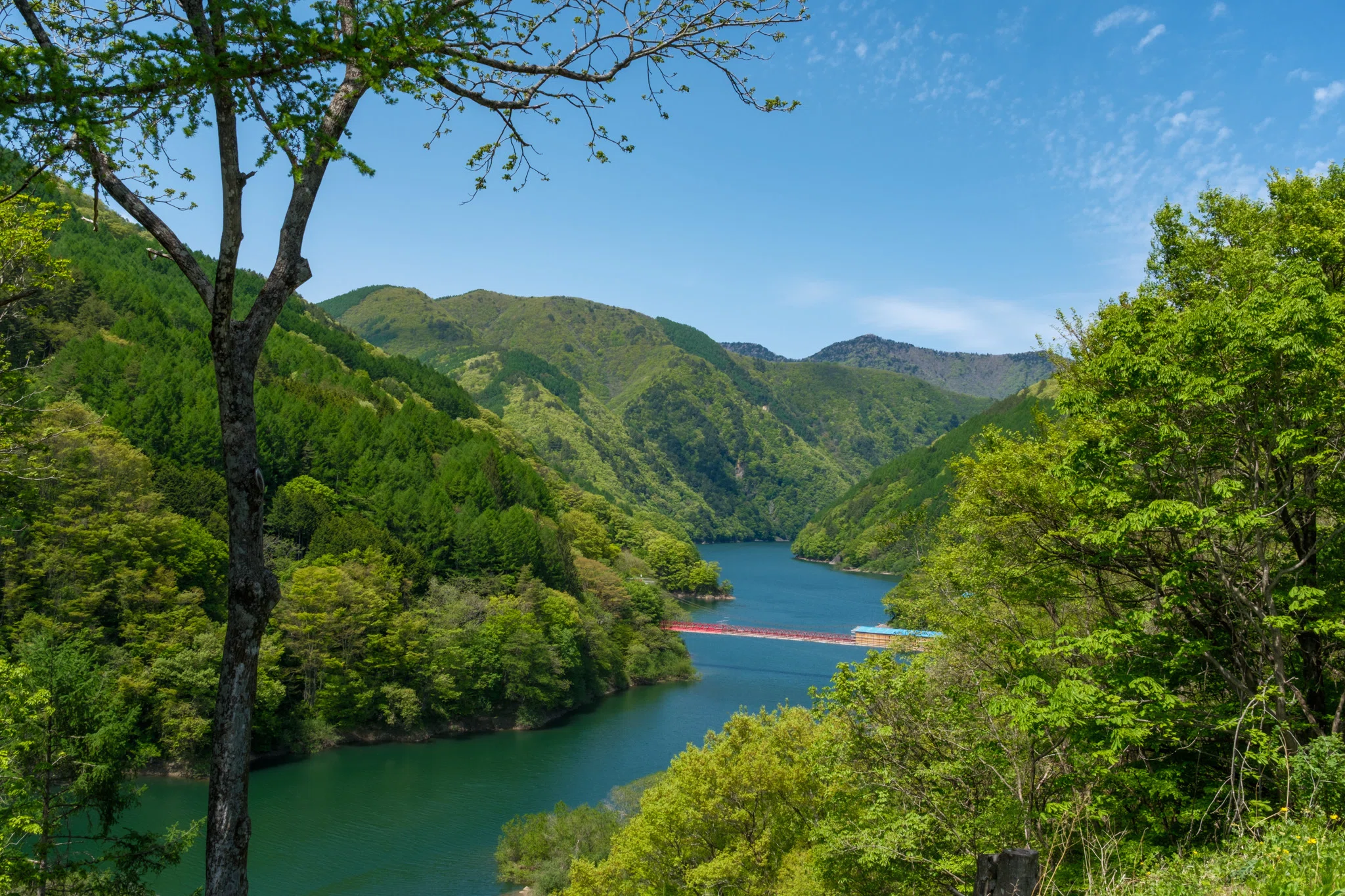 新緑のソロキャンプ-高ソメで少し早い初夏を楽しむ-｜Xinn