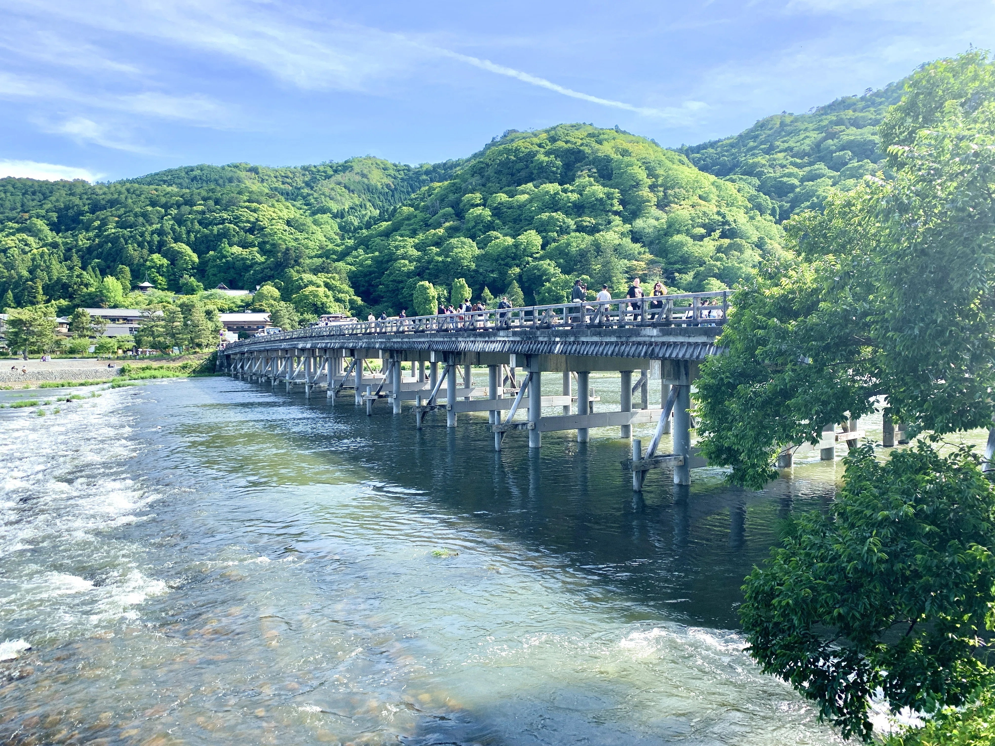 嵐山・天龍寺】完全ガイド｜世界遺産をもっと楽しむ裏ワザ＆お得情報