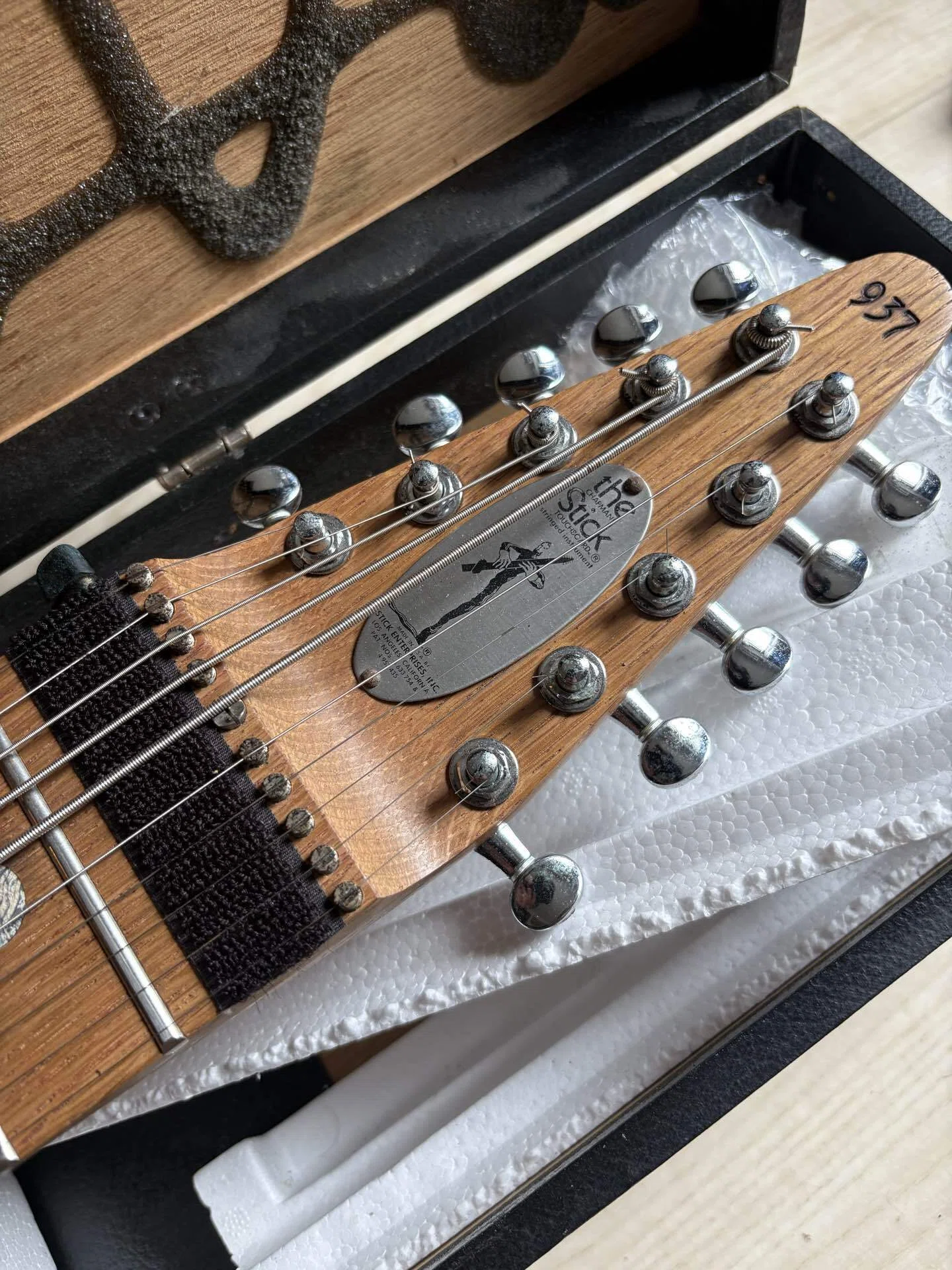 22【機材】My New Gearな夜/Chapman Stick｜昂央