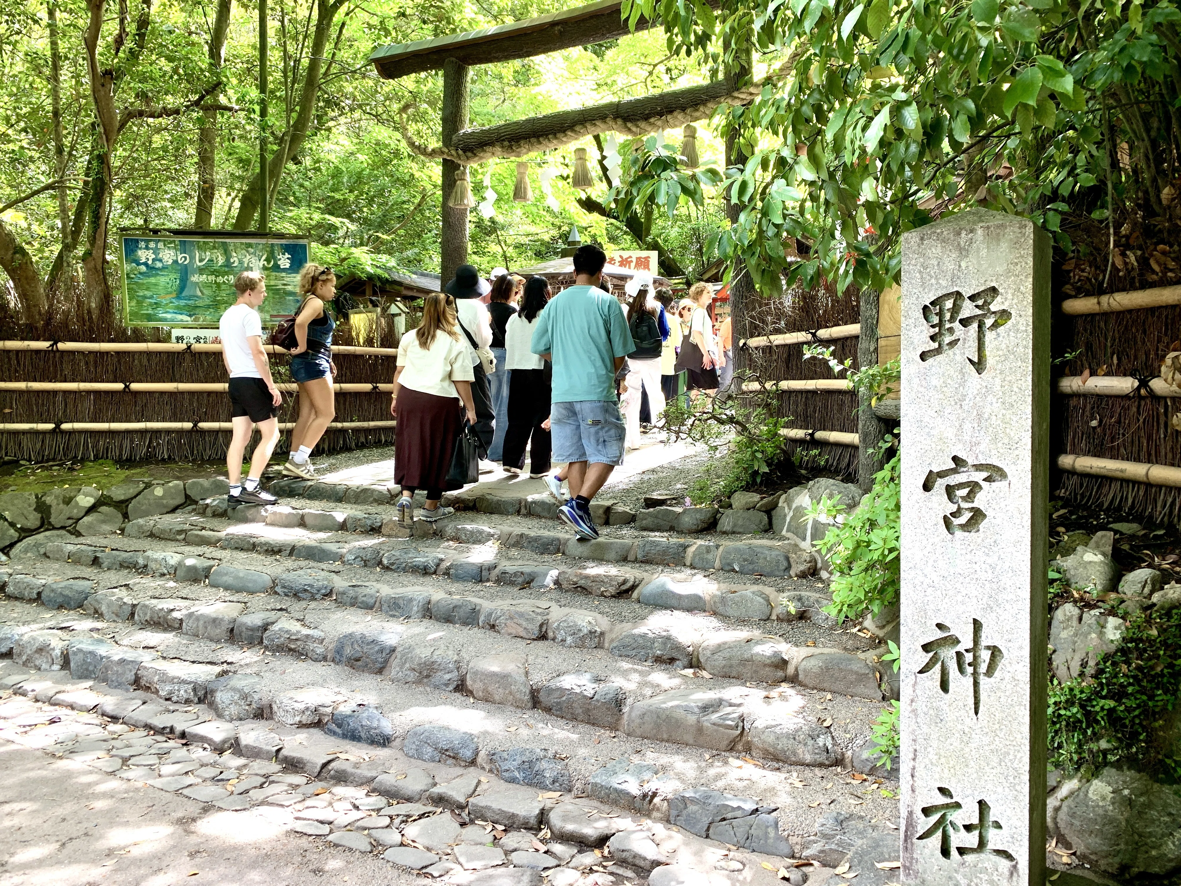 嵐山・天龍寺】完全ガイド｜世界遺産をもっと楽しむ裏ワザ＆お得情報