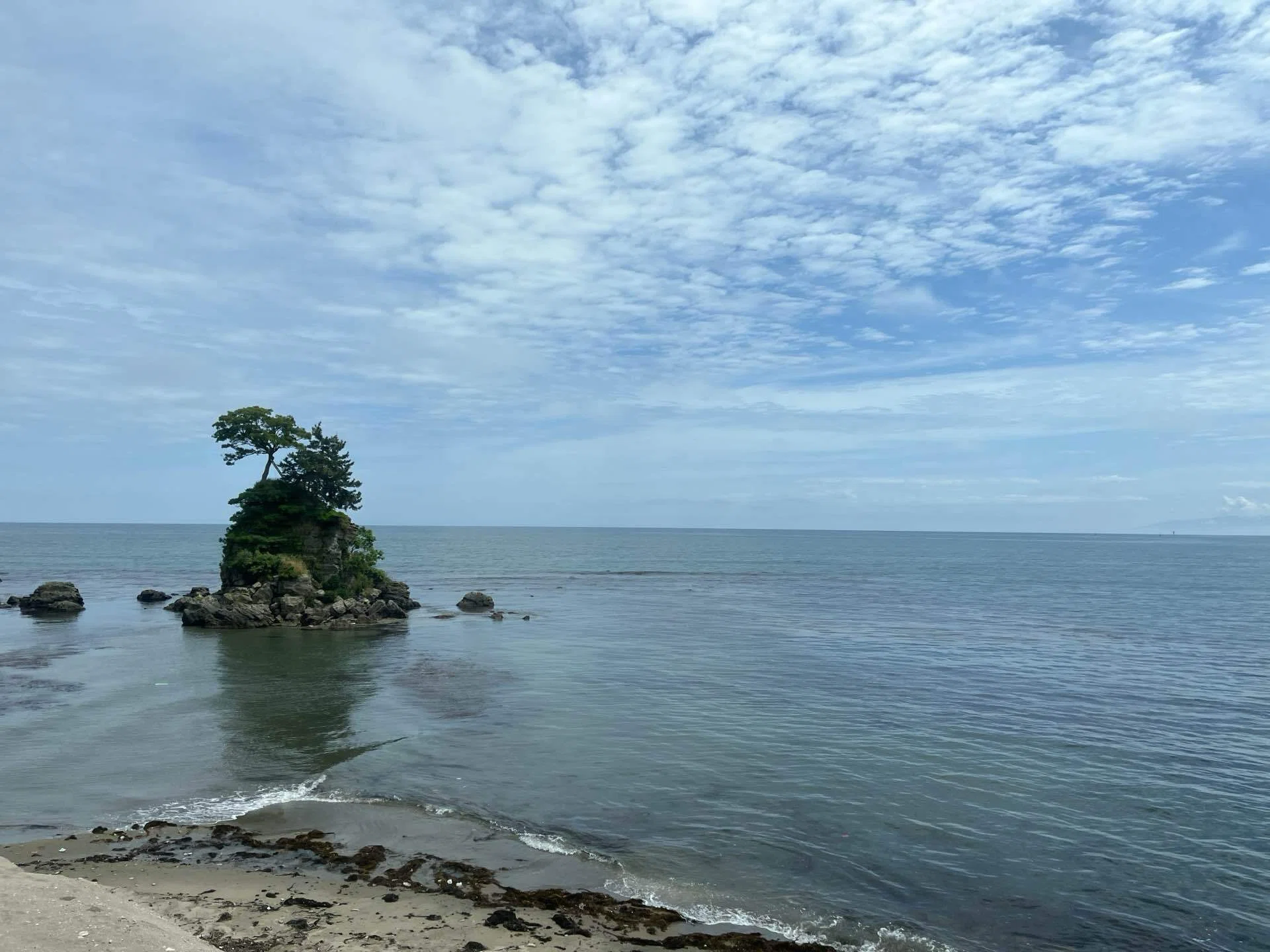飲んで、歩いて、木彫り展。氷見・高岡へ行ってきました｜メン吉