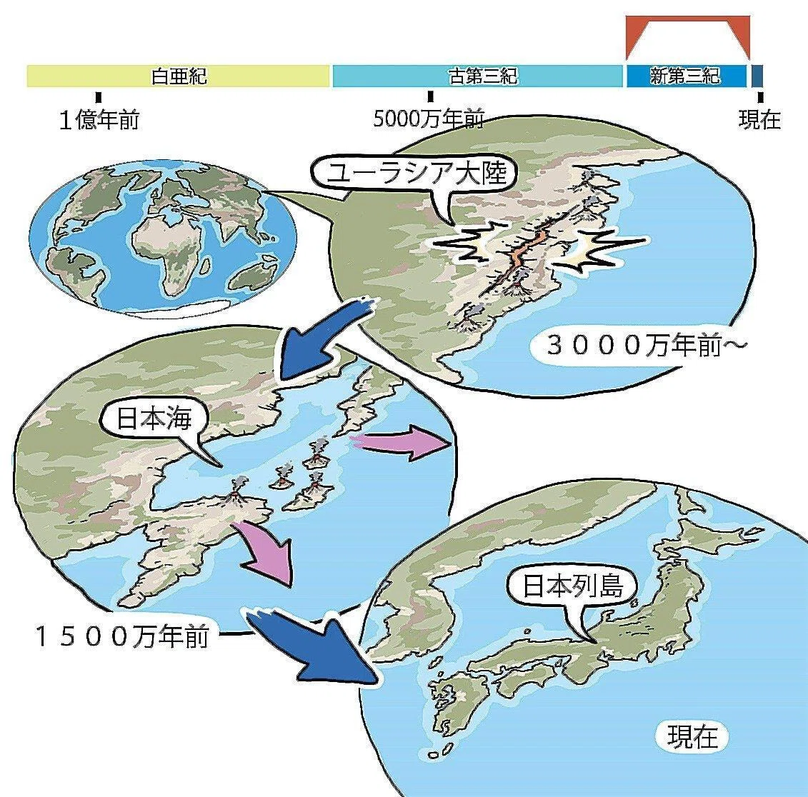 日本の石器は世界最古！？3万8000年前の磨製石斧が語る、ものづくりの