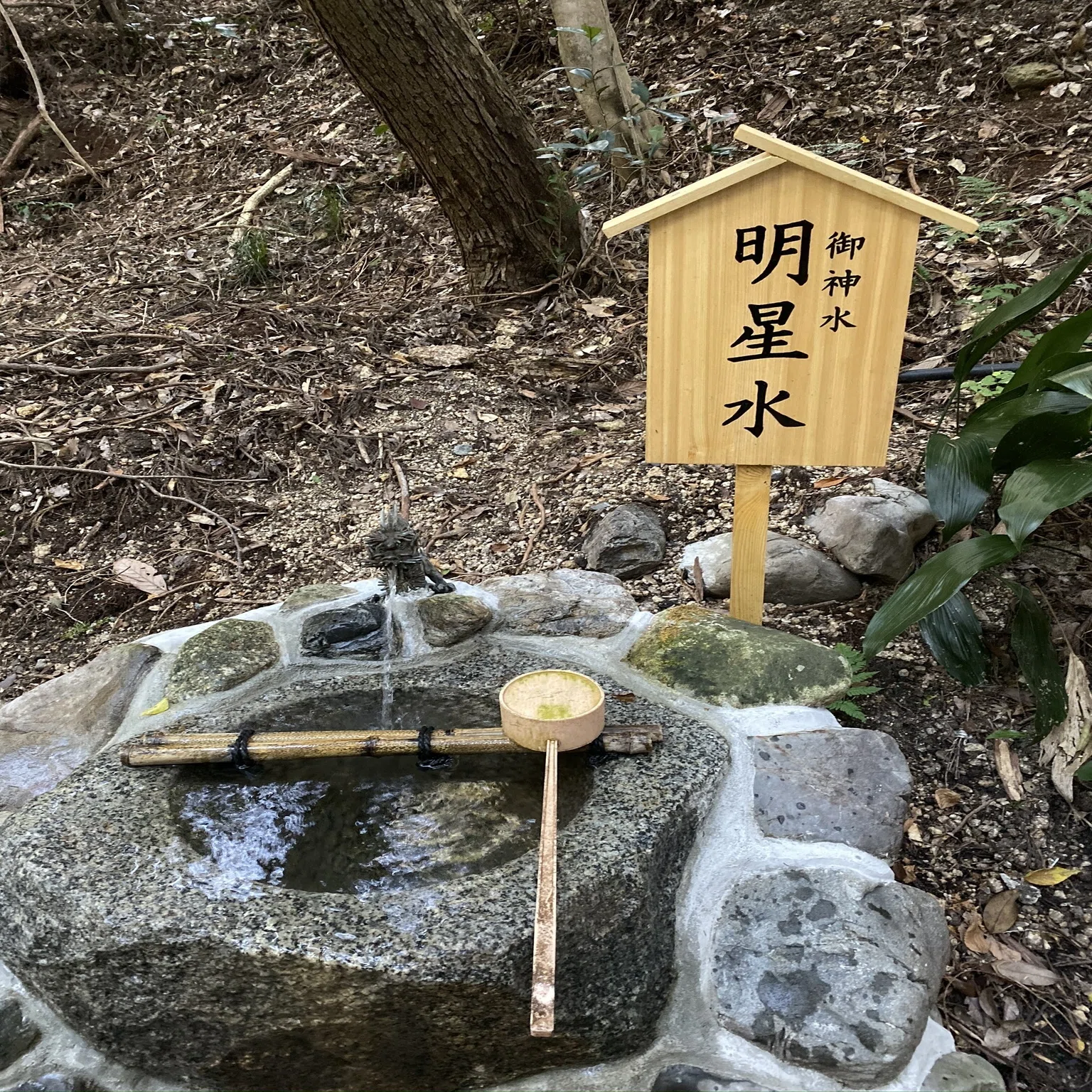 弘法大師二十五箇条遺告と如意宝珠──天から地へ降りる「種」を 