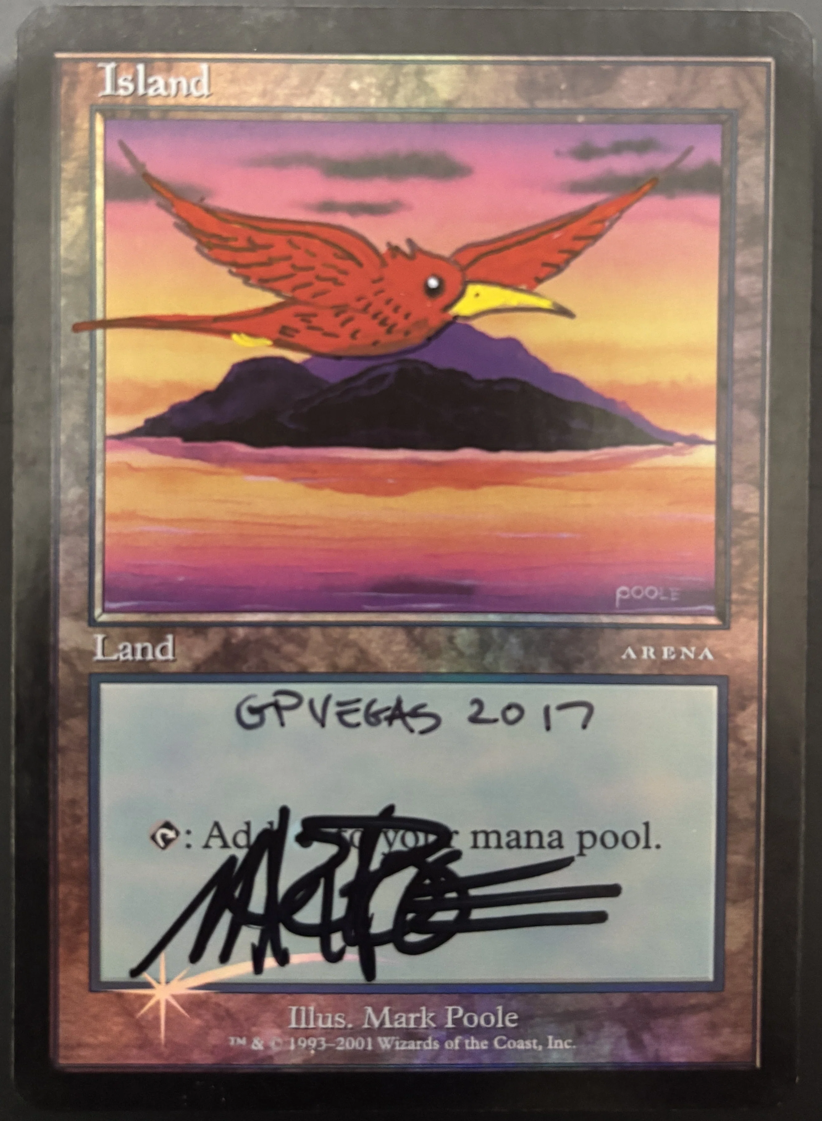 Mark Pooleに会ってわかったこと｜“極楽鳥”が愛される理由【MTG