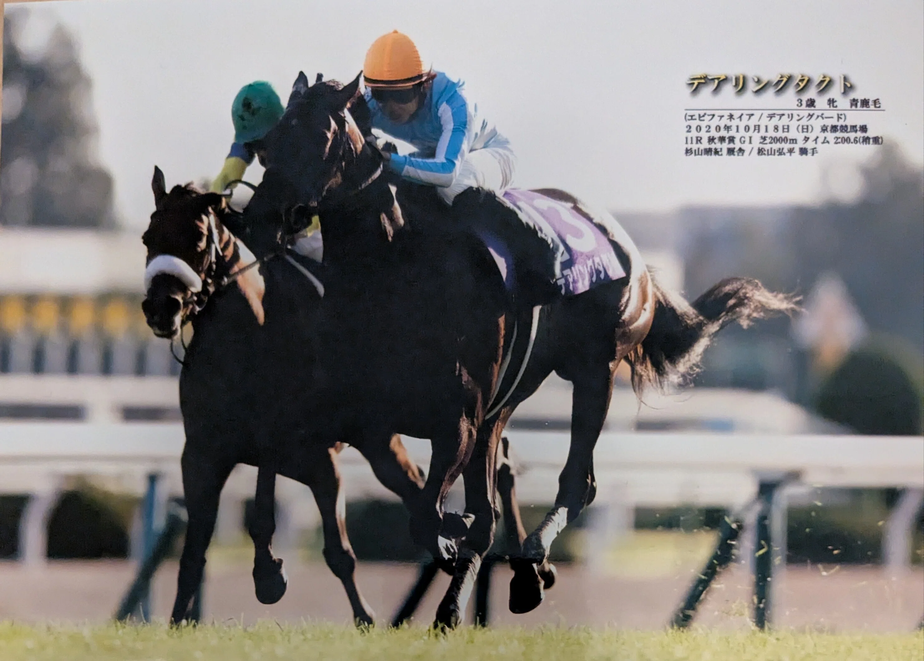 デアリングタクト ジャパンカップ 2020 現地 応援 馬券 がんばれ