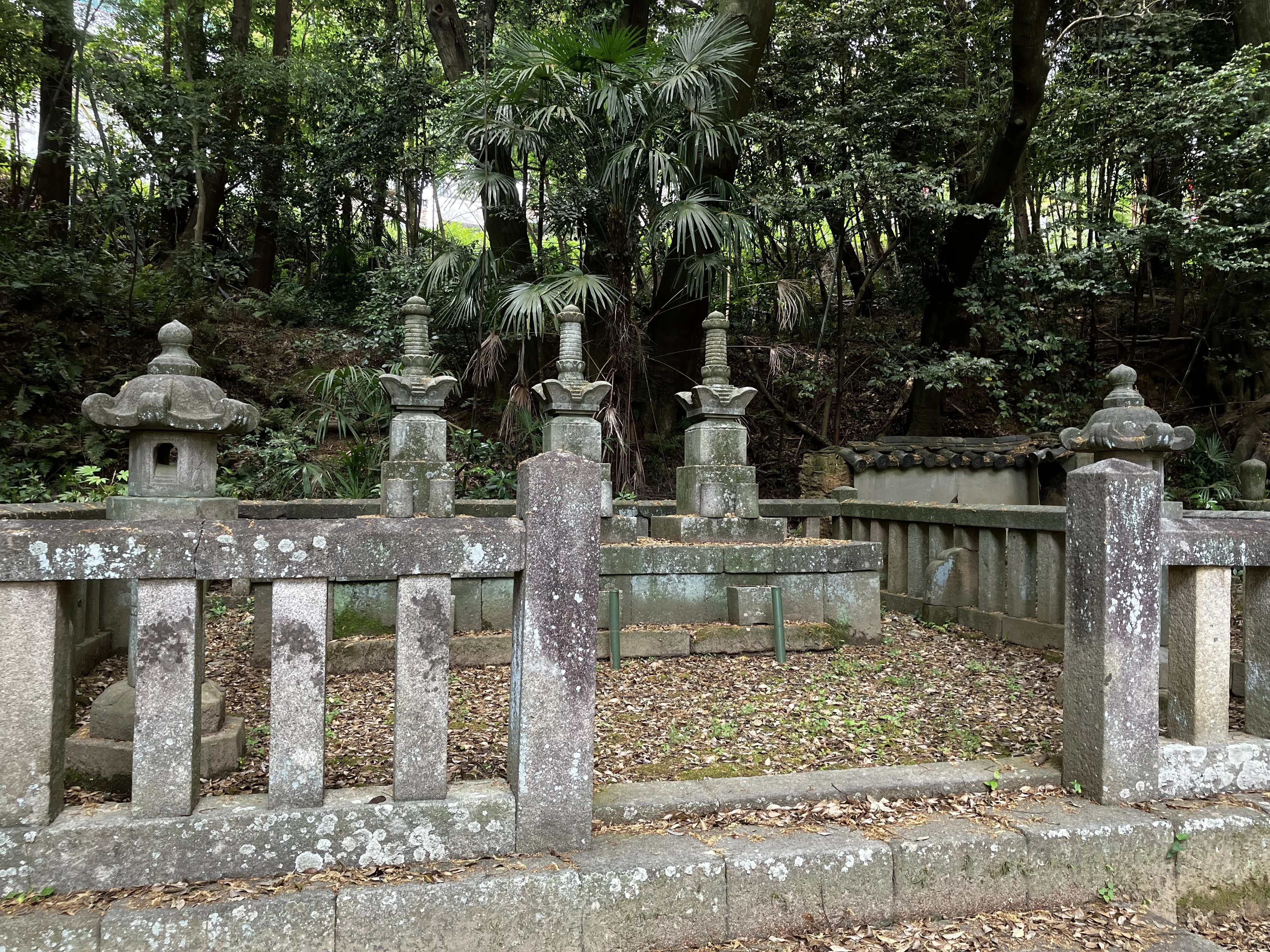 茶道具 茶碗 古門堂焼  岡崎信光造 Amazon.co.jp: 出雲 蓮乗院 古門堂焼 岡崎信光 赤楽 茶碗 赤茶碗