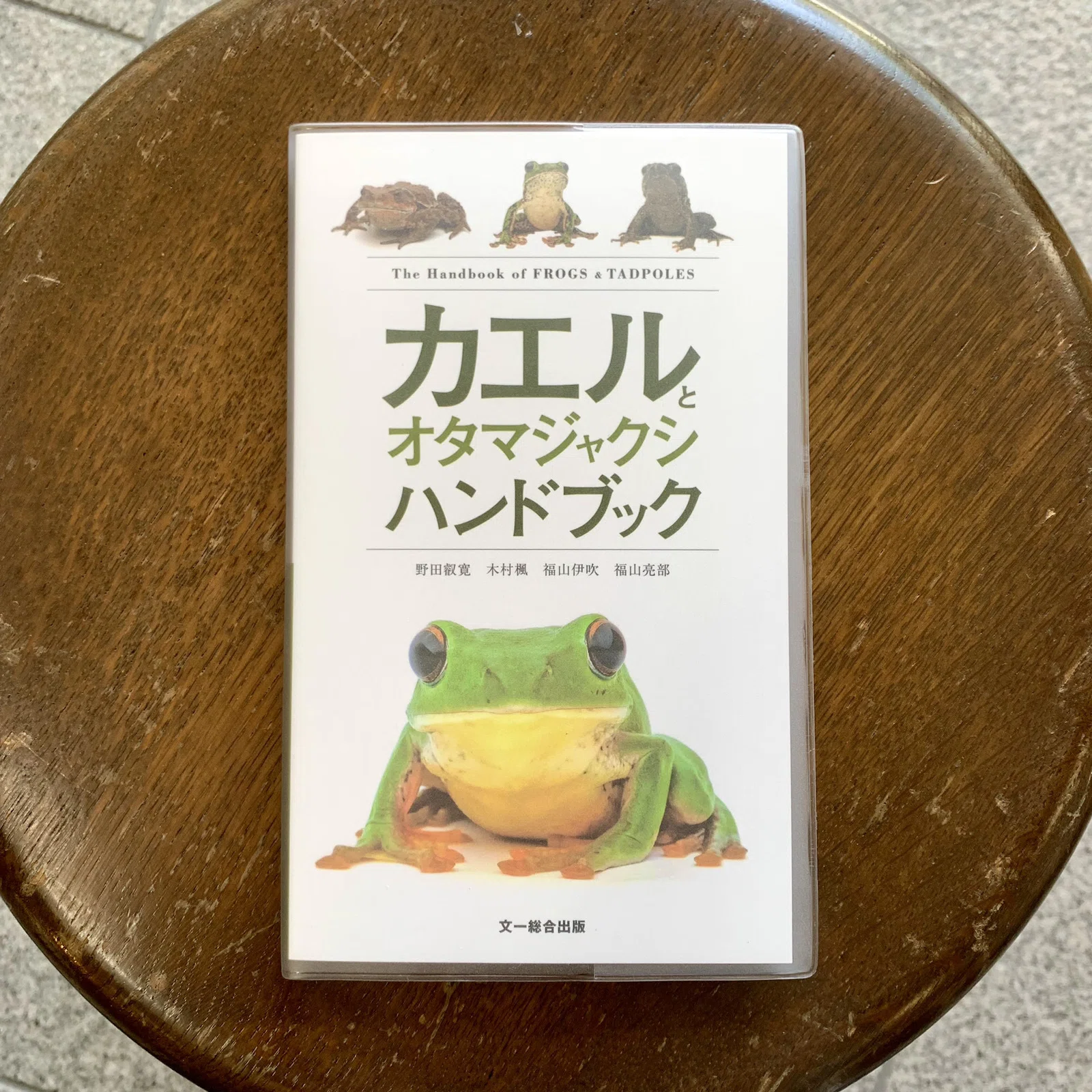 6月28日（日）『カエルとオタマジャクシハンドブック』（文一総合出版