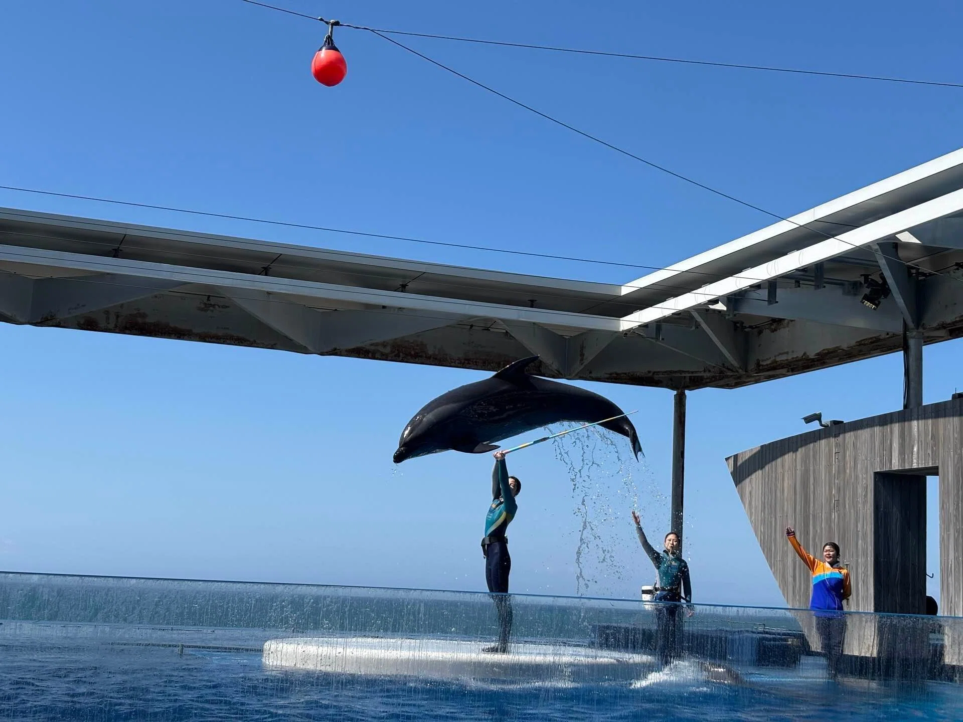 新潟旅】上越市立水族館うみがたり・イルカ｜UMI