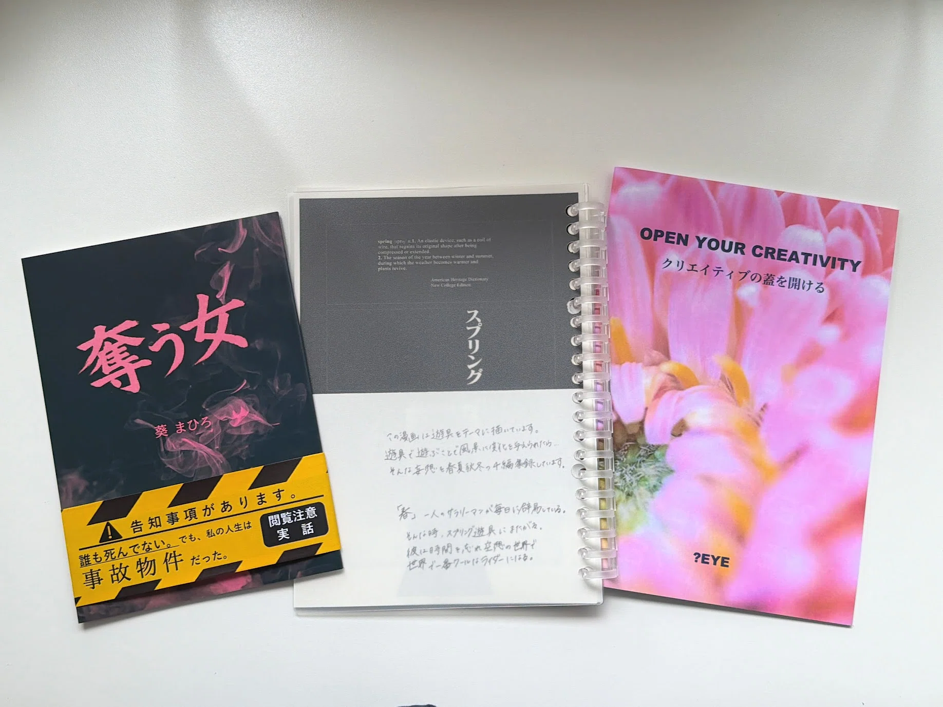ReiZ(ライツ？),MADNESS,CDシングル +冊子付き(20ページ) ZINEフェスでZINE交換もしてみたら、値付け疲れがちょっとラクになった