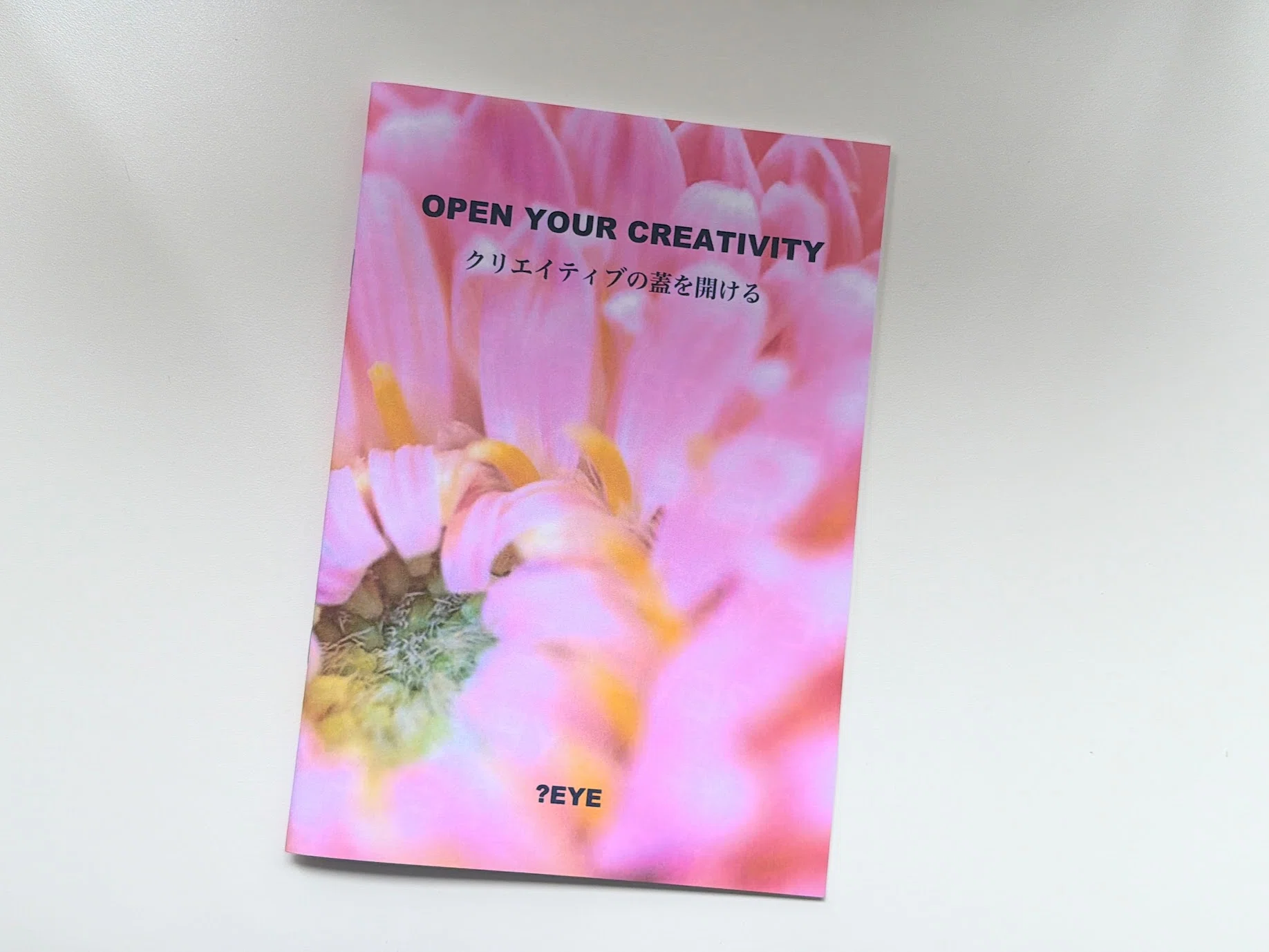 ReiZ(ライツ？),MADNESS,CDシングル +冊子付き(20ページ) ZINEフェスでZINE交換もしてみたら、値付け疲れがちょっとラクになった