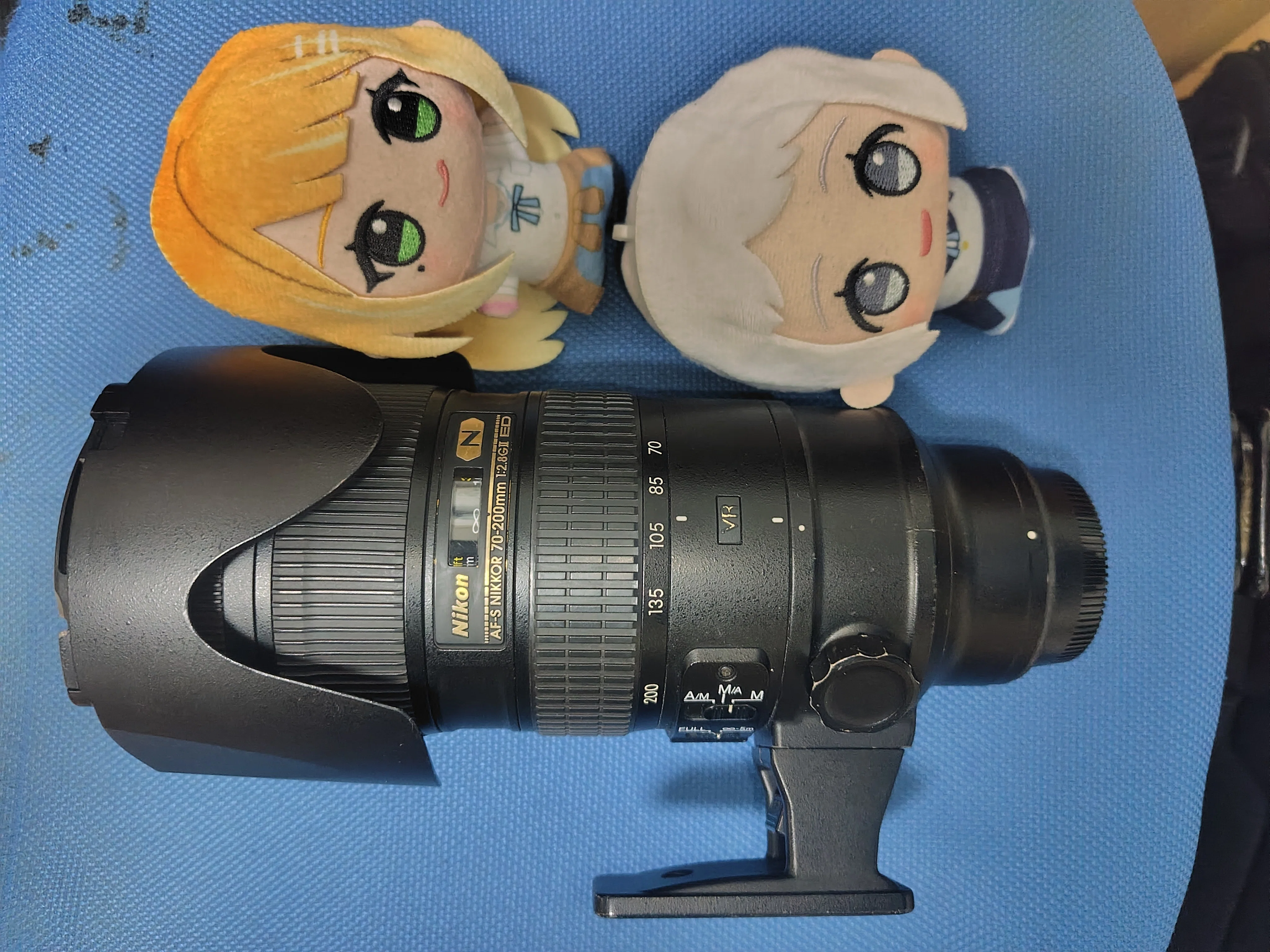 機材レビュー AF-S NIKKOR 70-200mm f/2.8G ED VR II ~撮り鉄御用達