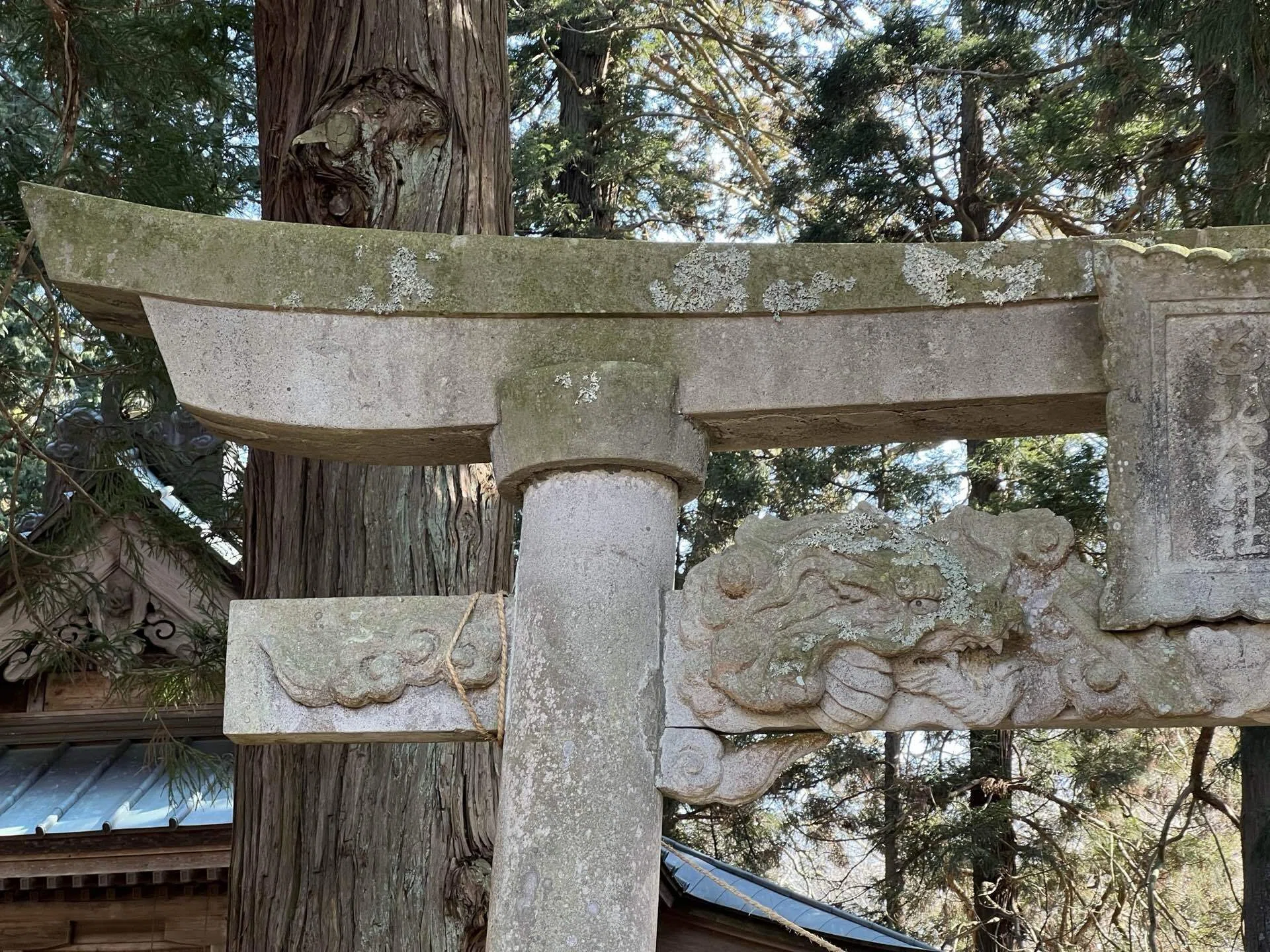 激レア鳥居】貫に龍の彫刻がある鳥居 五龍地神社｜恵比寿マイの趣味