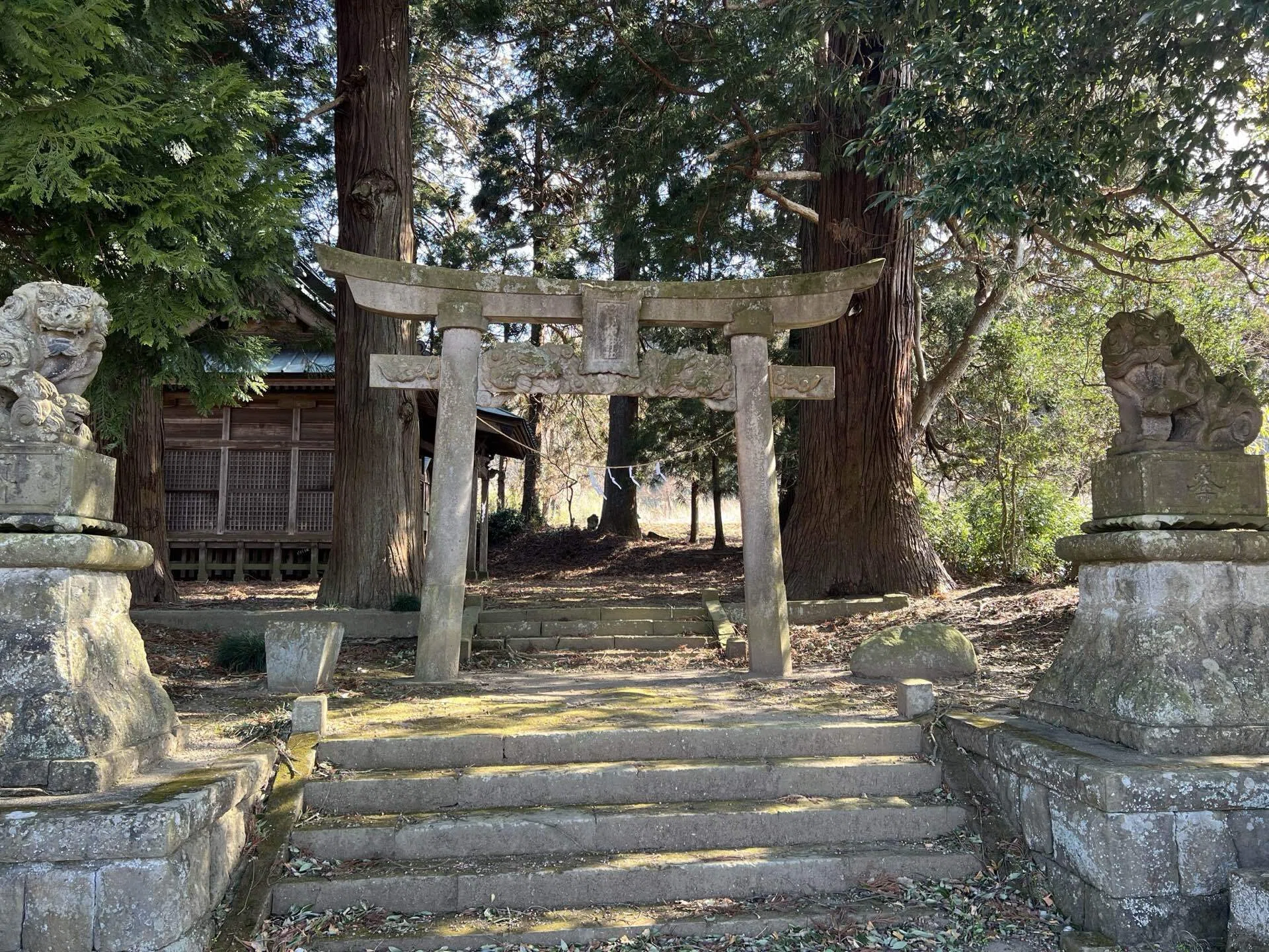 激レア鳥居】貫に龍の彫刻がある鳥居 五龍地神社｜恵比寿マイの趣味