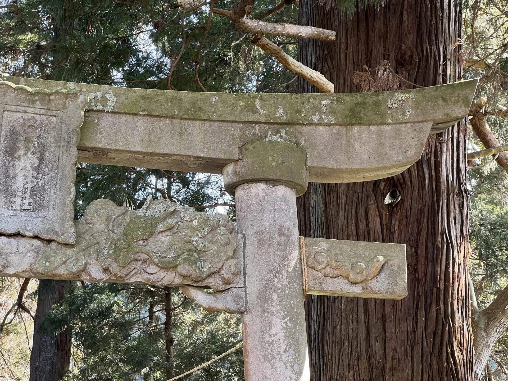 激レア鳥居】貫に龍の彫刻がある鳥居 五龍地神社｜恵比寿マイの趣味