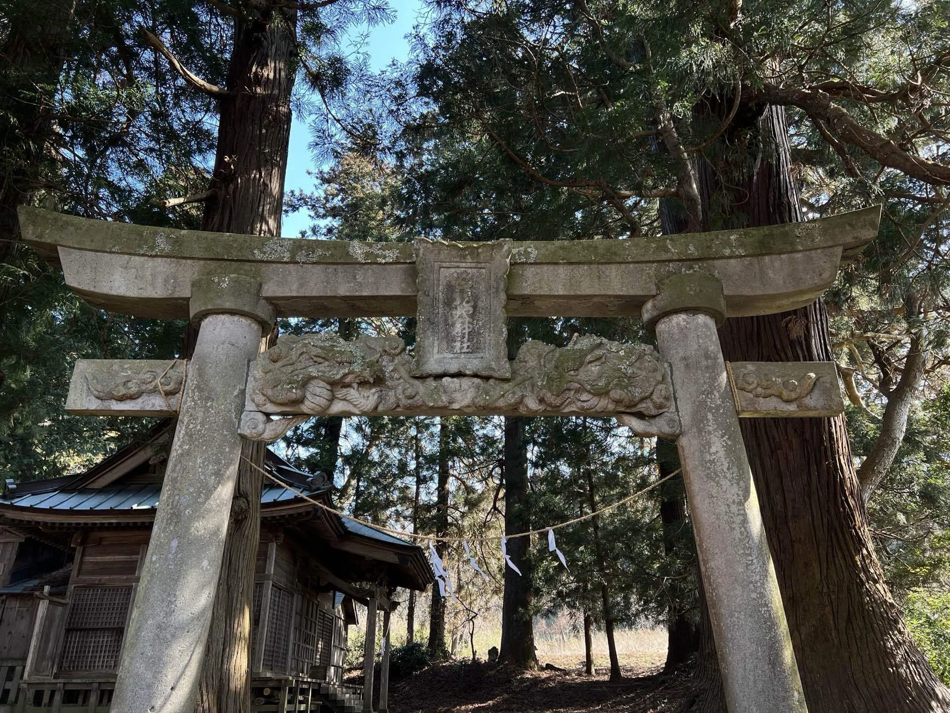 激レア鳥居】貫に龍の彫刻がある鳥居 五龍地神社｜恵比寿マイの趣味