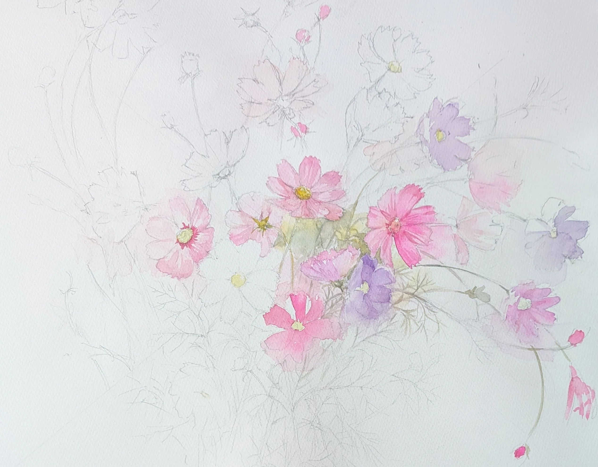 水彩10号「風のことづて」秋桜｜東裕子(HigashiYuko)のブログー朝露日誌ー