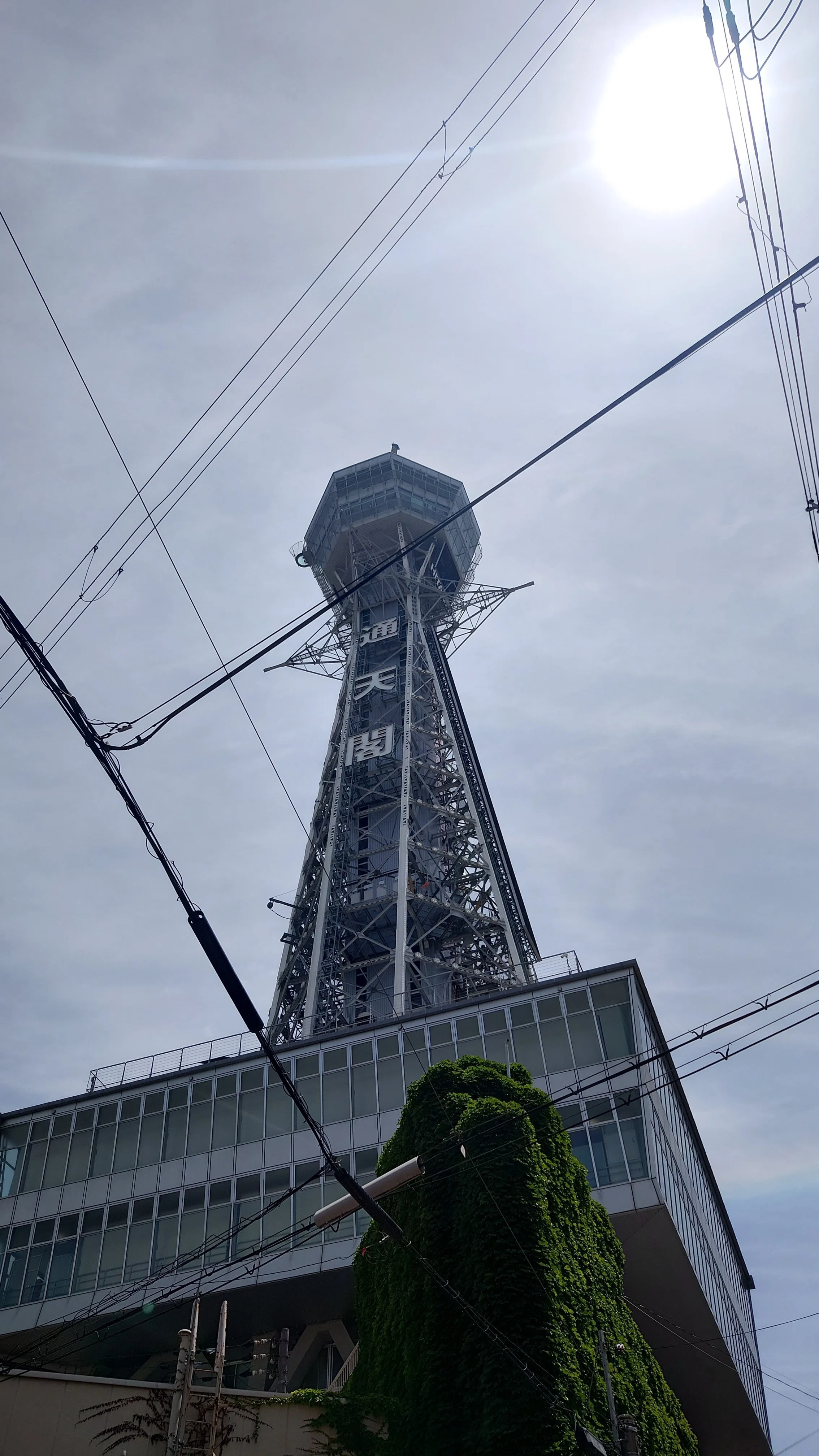 大阪、ありがとう！(2026/05/24)｜きらす