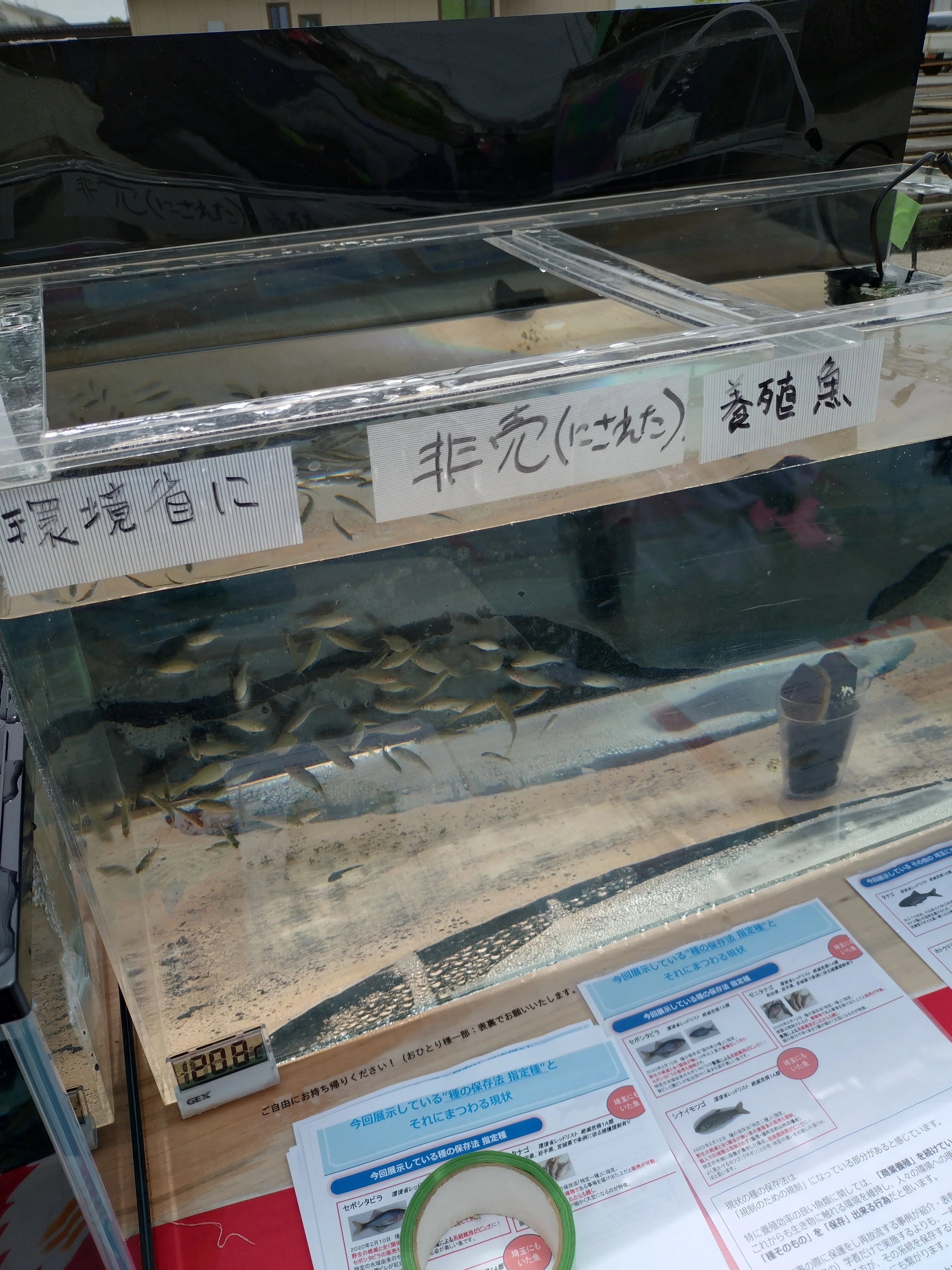第41回日本観賞魚フェア 2026年5月24日｜AQUA Trade&Market