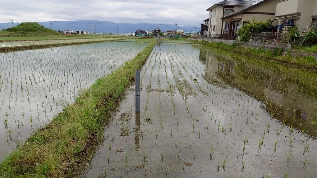 現地取材／南国セブ島から滋賀県草津の田んぼに遠隔で水やり