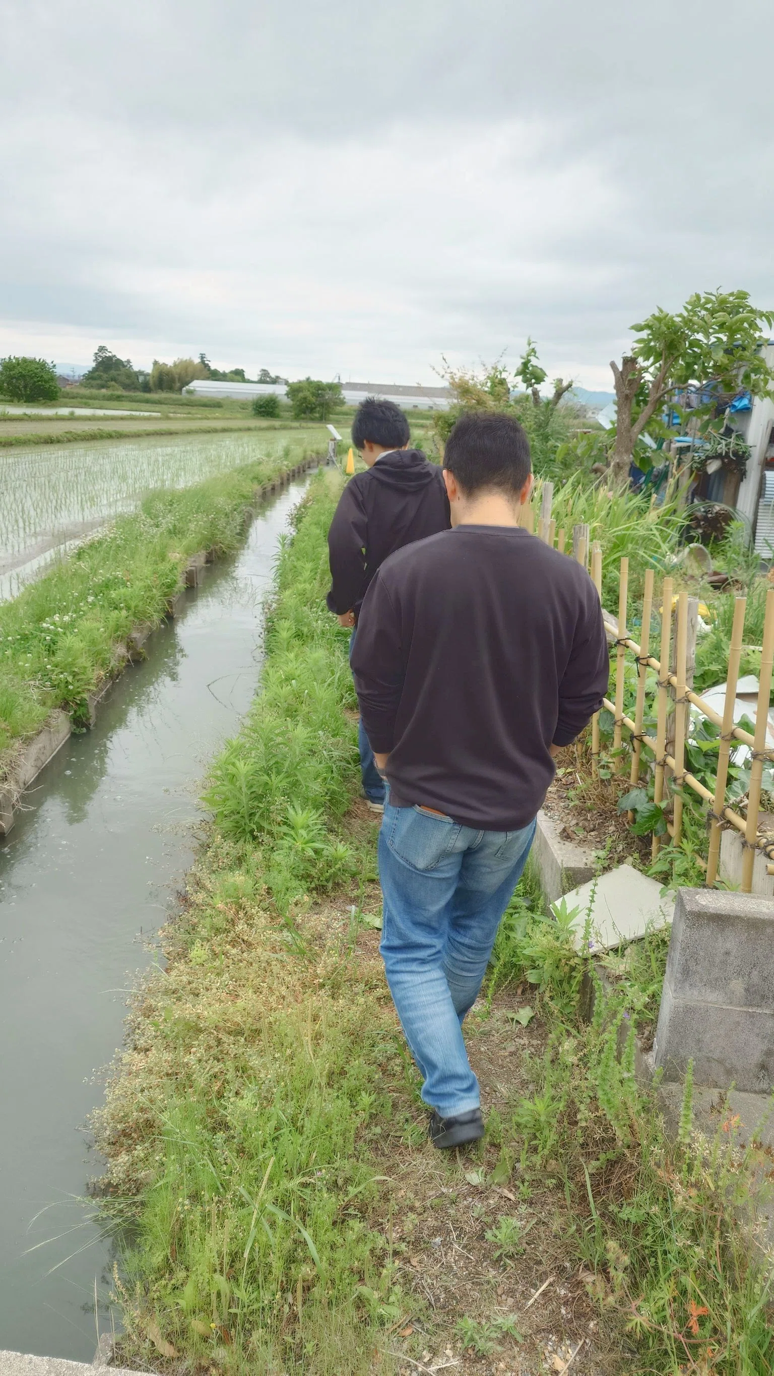 現地取材／南国セブ島から滋賀県草津の田んぼに遠隔で水やり