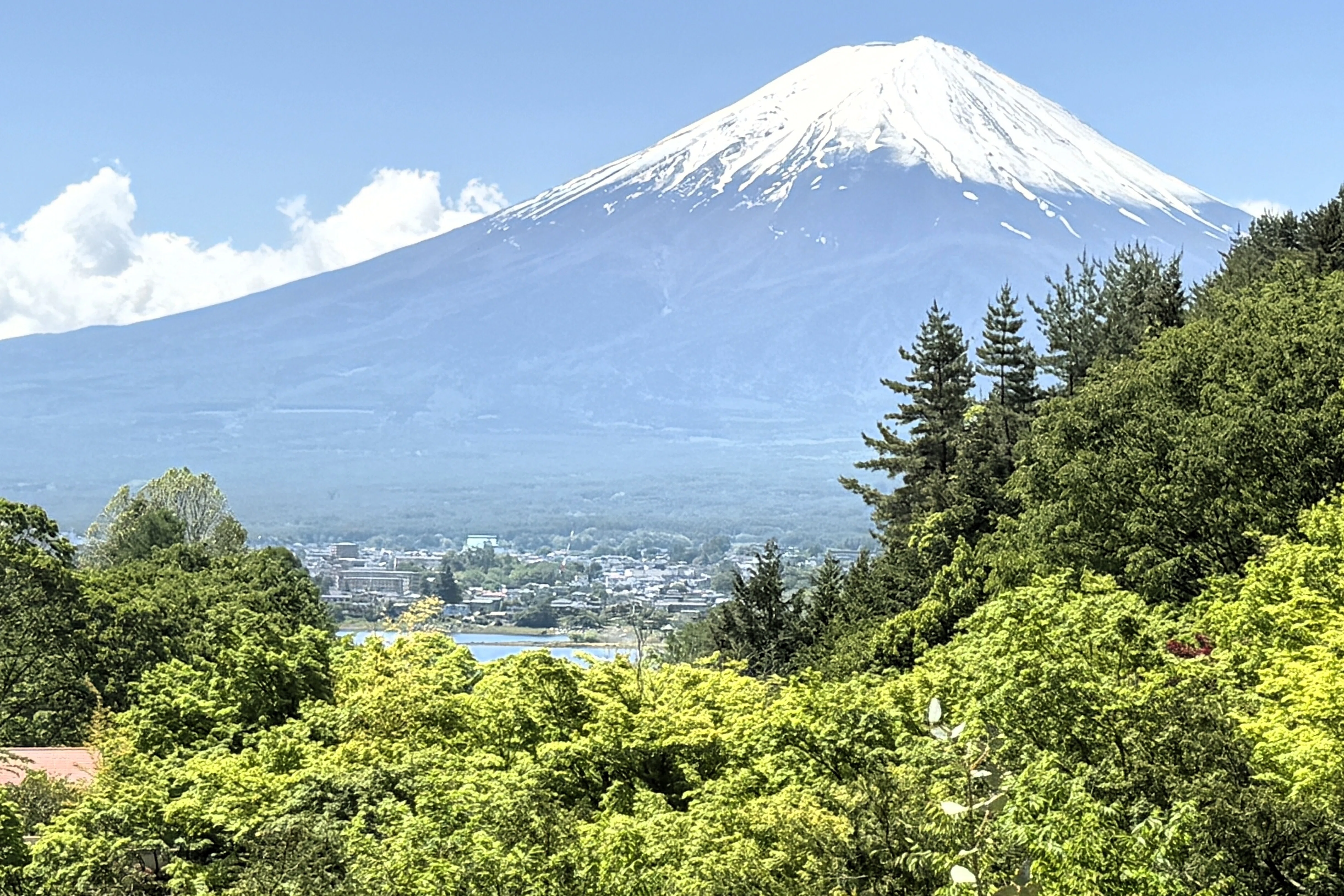 河口湖 富士の杜に寛ぐ休日 ～新緑と美食、富士山を愛でる旅