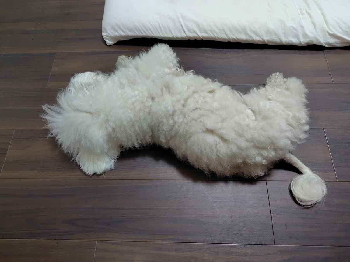 やっぱり残念な業界です|ももあき