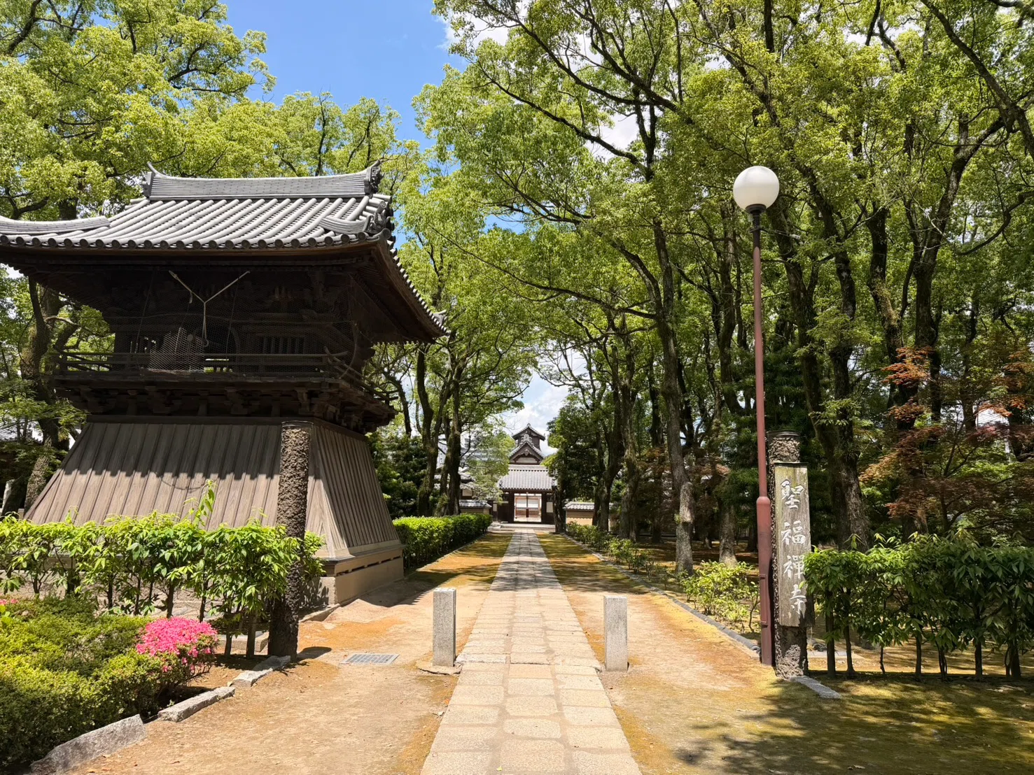 Recommended Spots Around Hakata Station for International Tourists