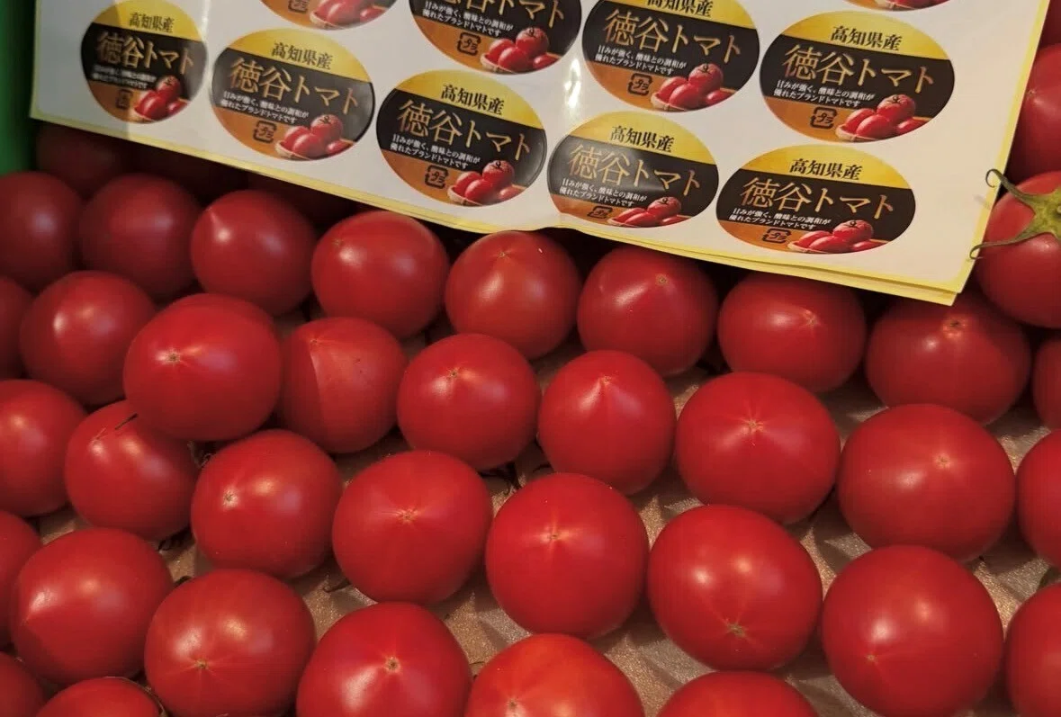 2026】満足感のある一品になる「リッチな味わい」「夏にいい」トマトお